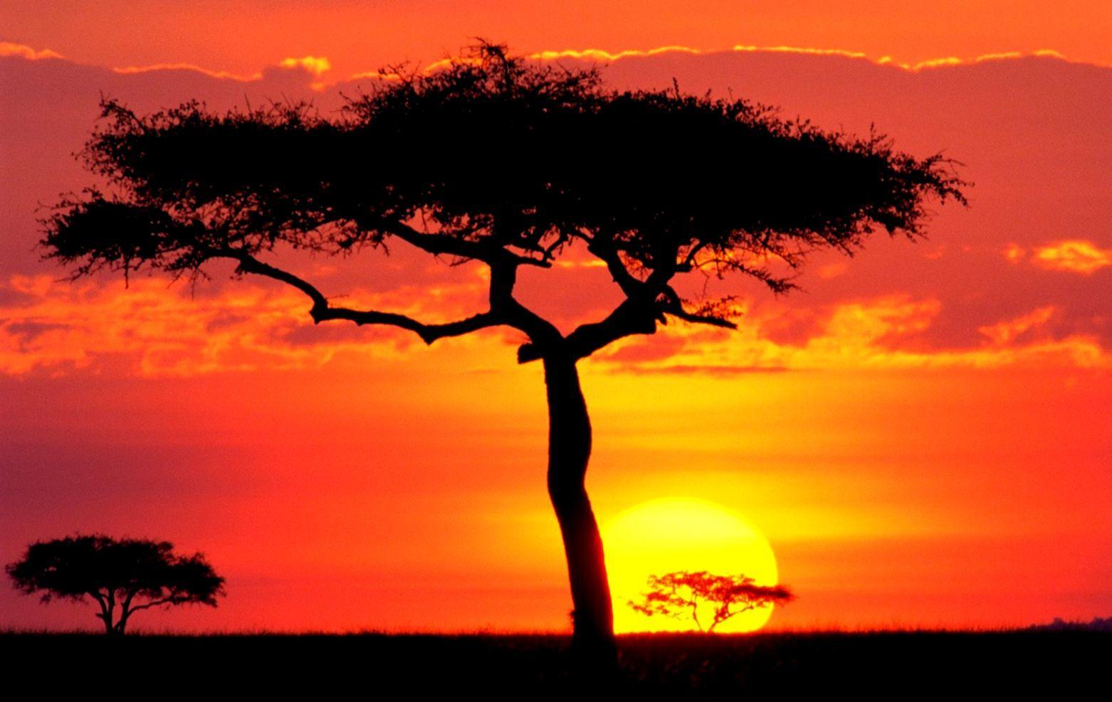 African Sunset Wallpapers Top Free African Sunset Backgrounds Wallpaperaccess 1293