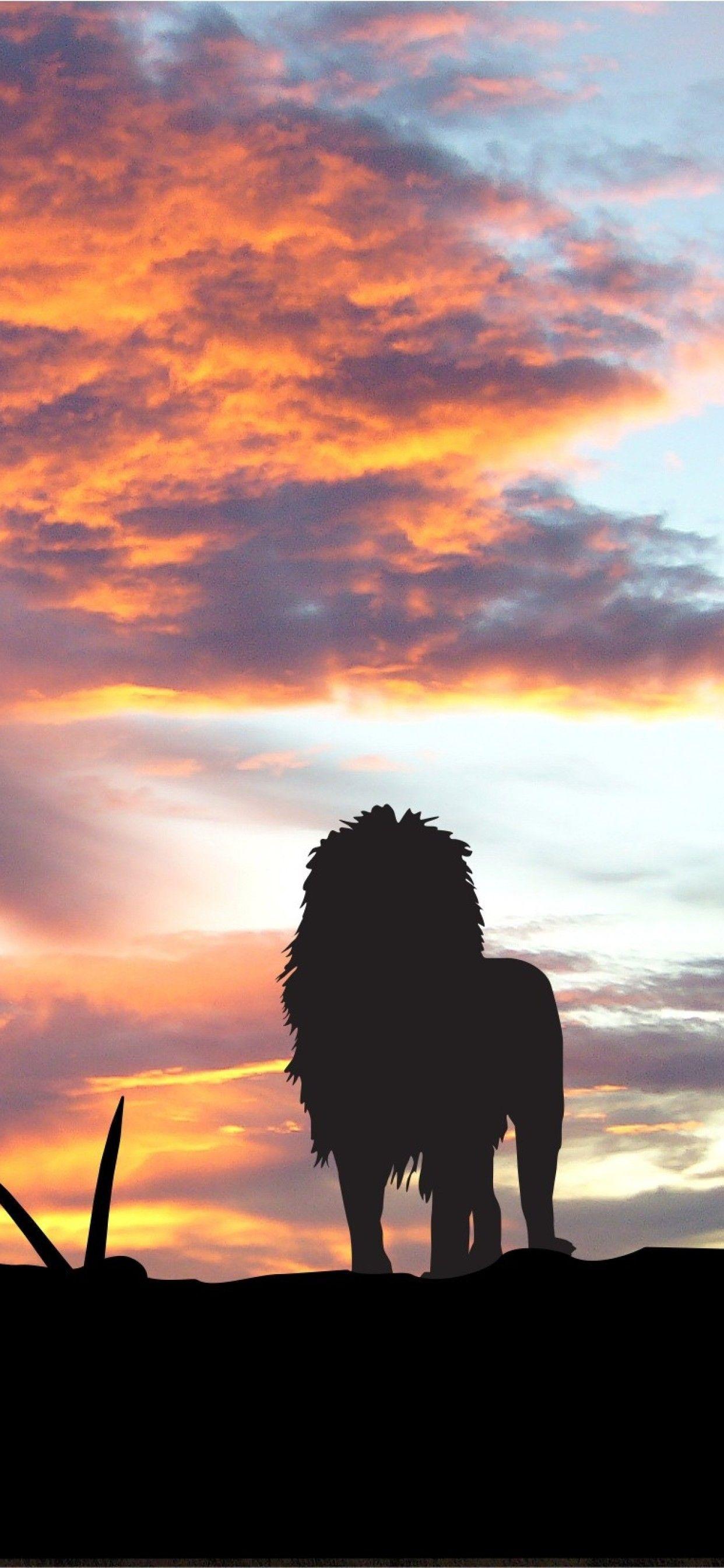 1242x2688 Lions Africa Silhouette Sunset iPhone XS MAX HD 4k