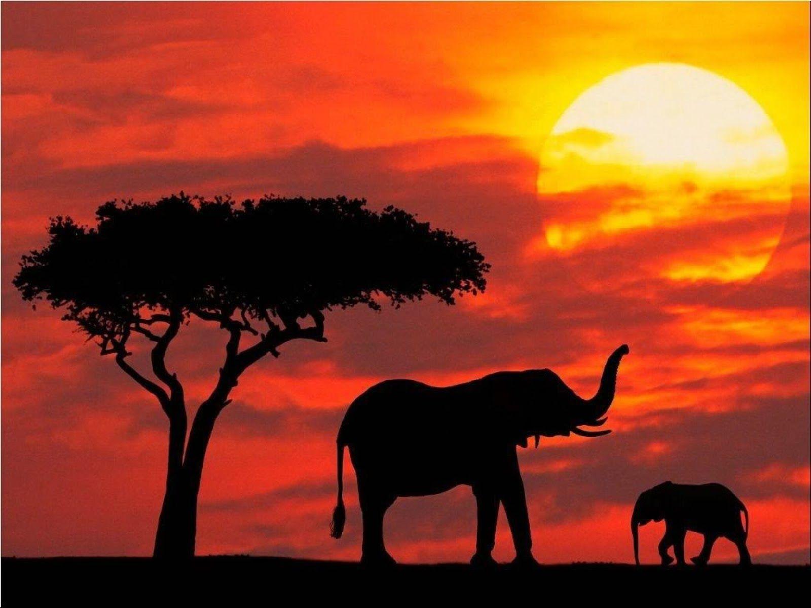 1600x1200 Free download High Definition Wallpaper Club African Sunset