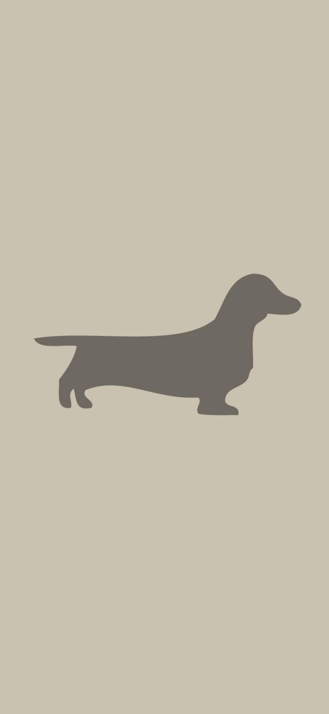 1125x2436 dachshund, dog, minimalism iPhone XS, iPhone iPhone X