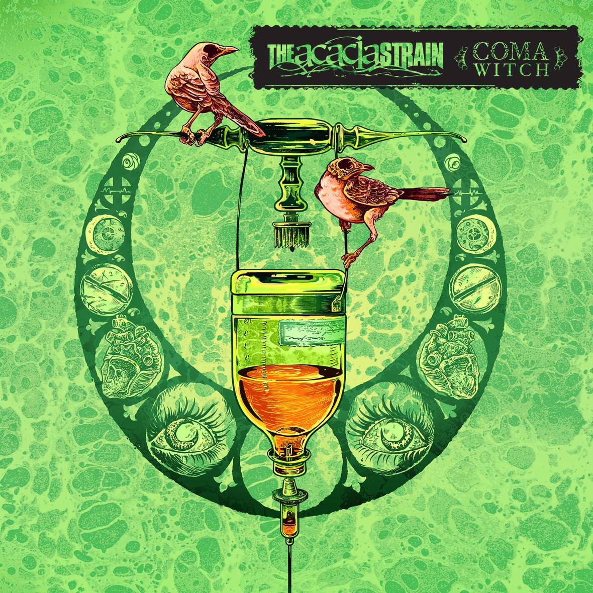 1180x1180 Free download The Acacia Strain Wallpaper [1180x1180]