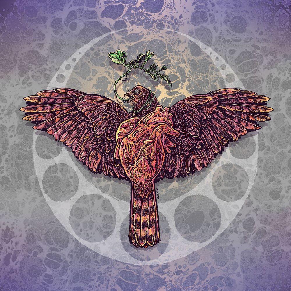 1000x1000 The Acacia Strain