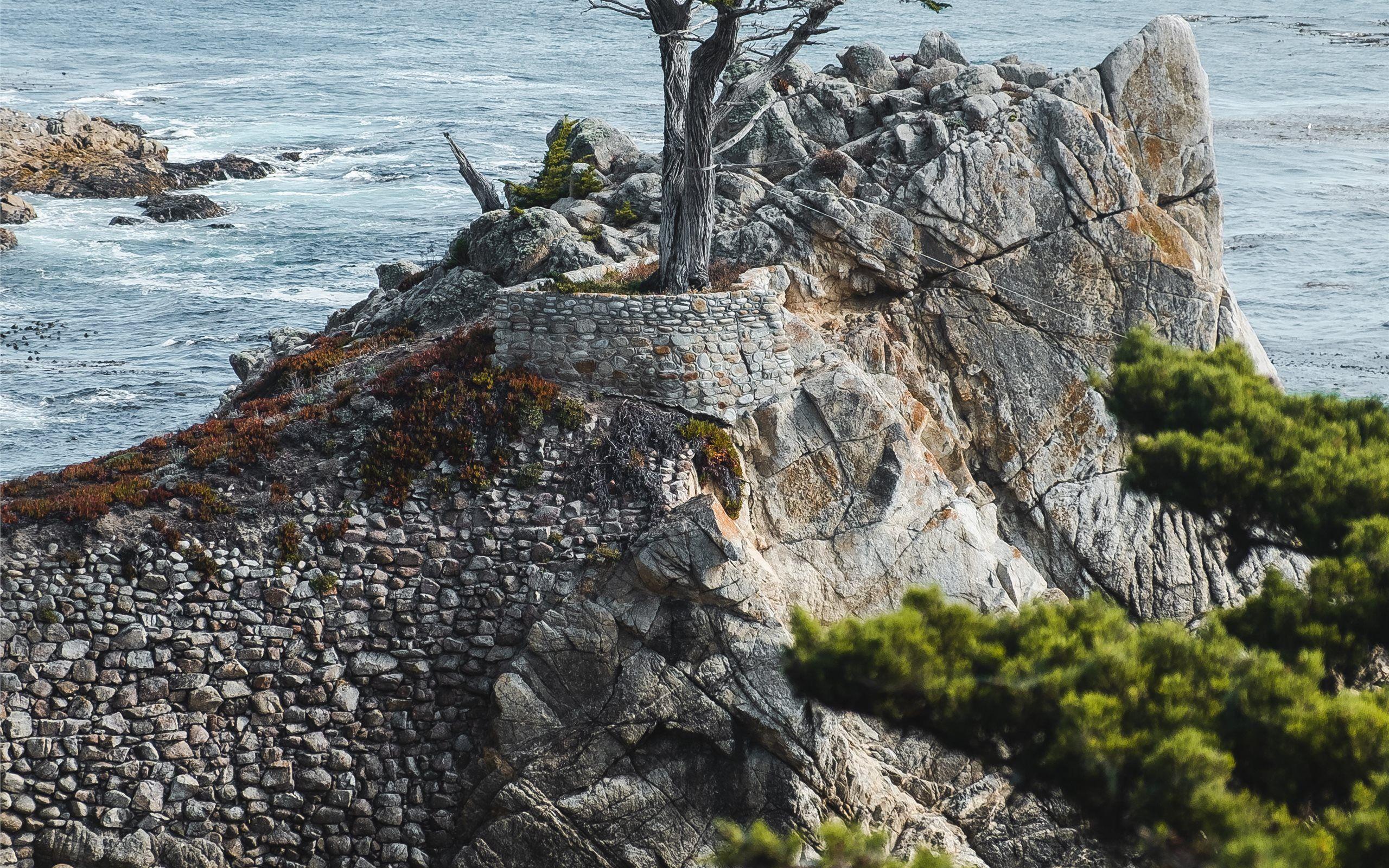 2560x1600 Lone Cypress, Monterrey,. Mac Wallpaper Download