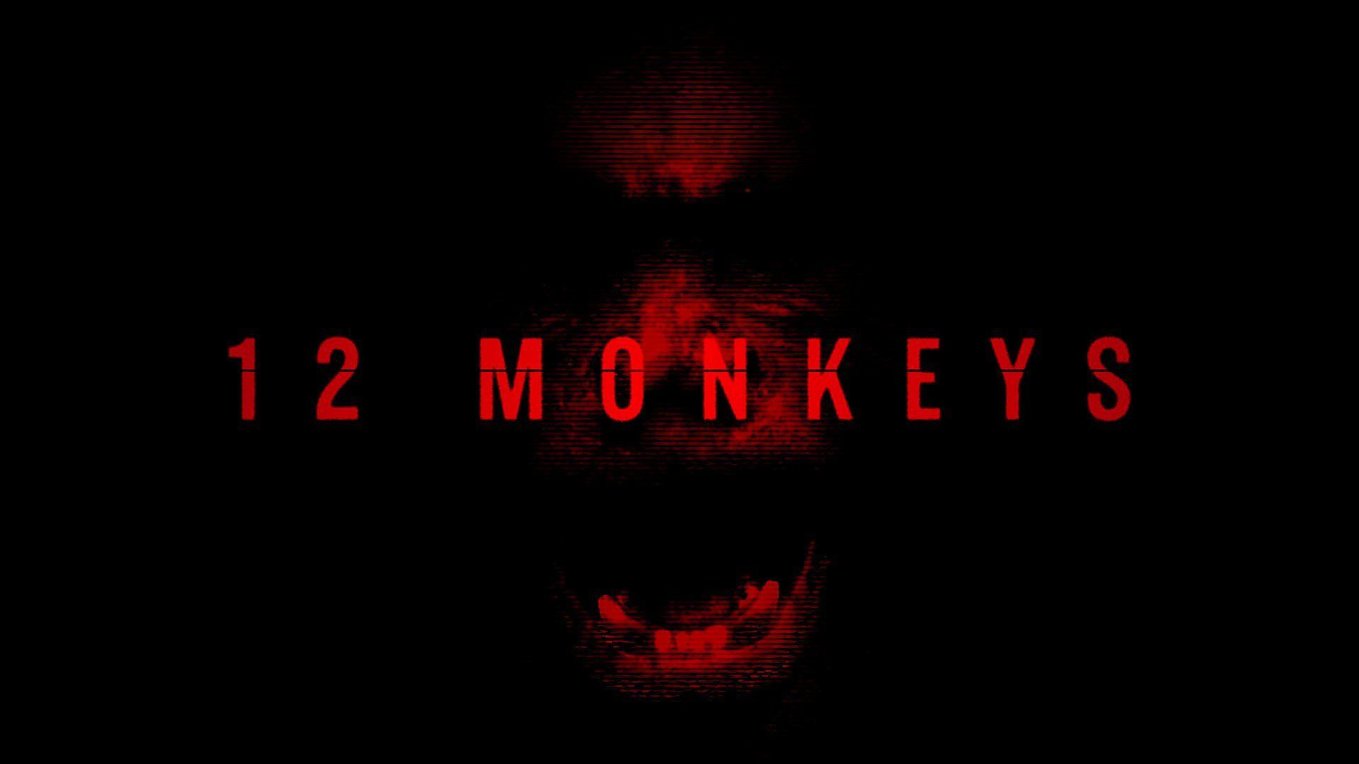 1920x1080 Monkeys Wallpaper, Picture, Image
