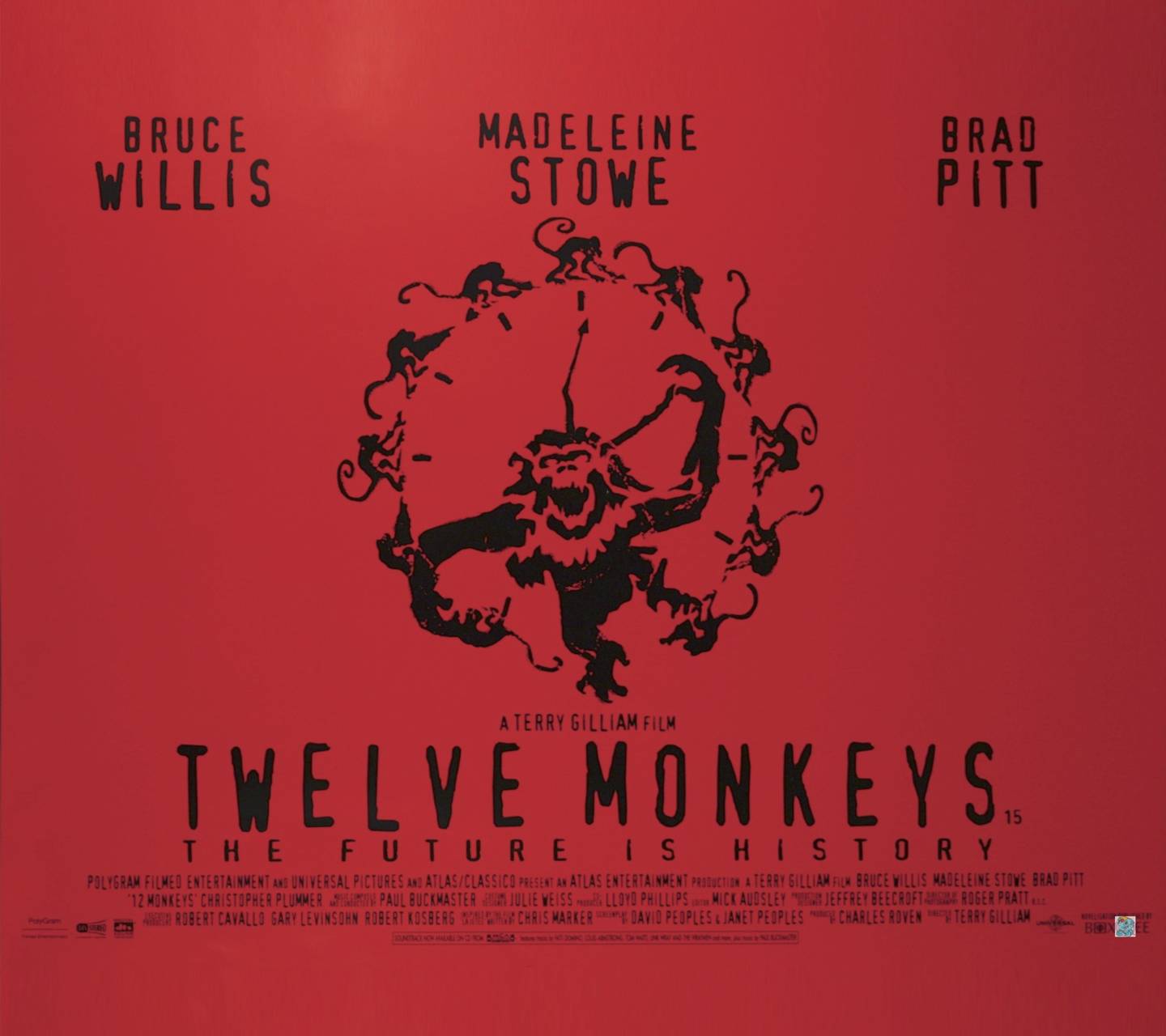 1440x1280 Monkeys wallpaper