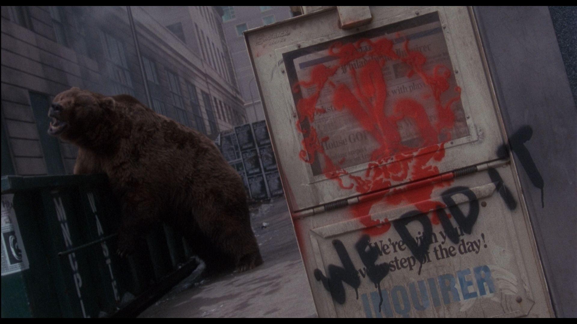 1920x1080 movies bears 12 monkeys 1920x1080 wallpaper High Quality