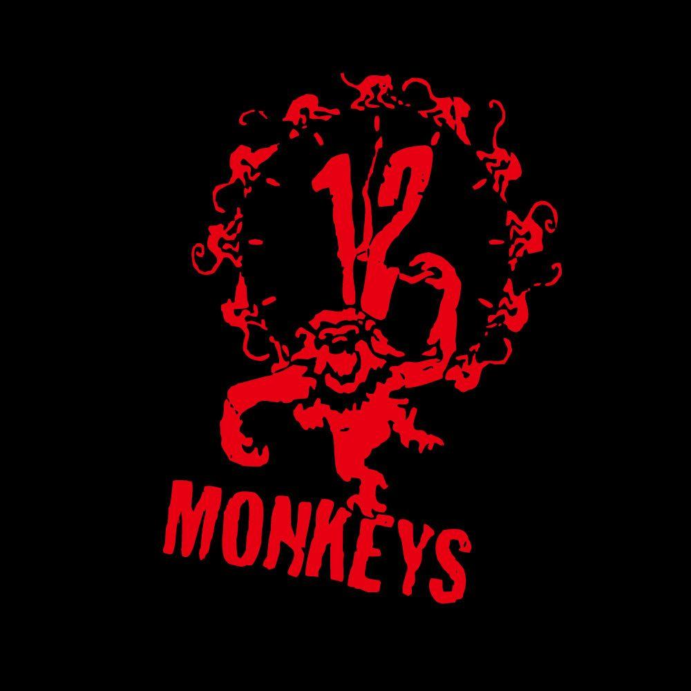 1000x1000 Monkeys Wallpaper
