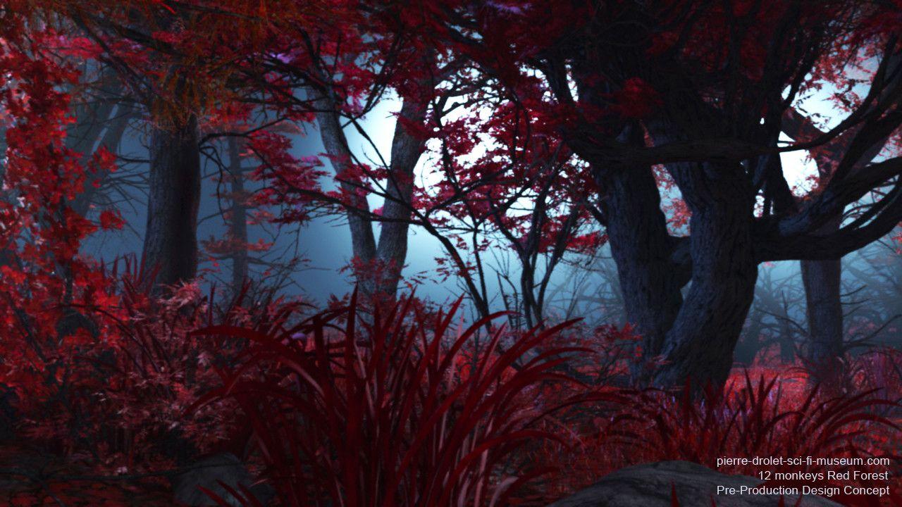 1280x720 Autumn