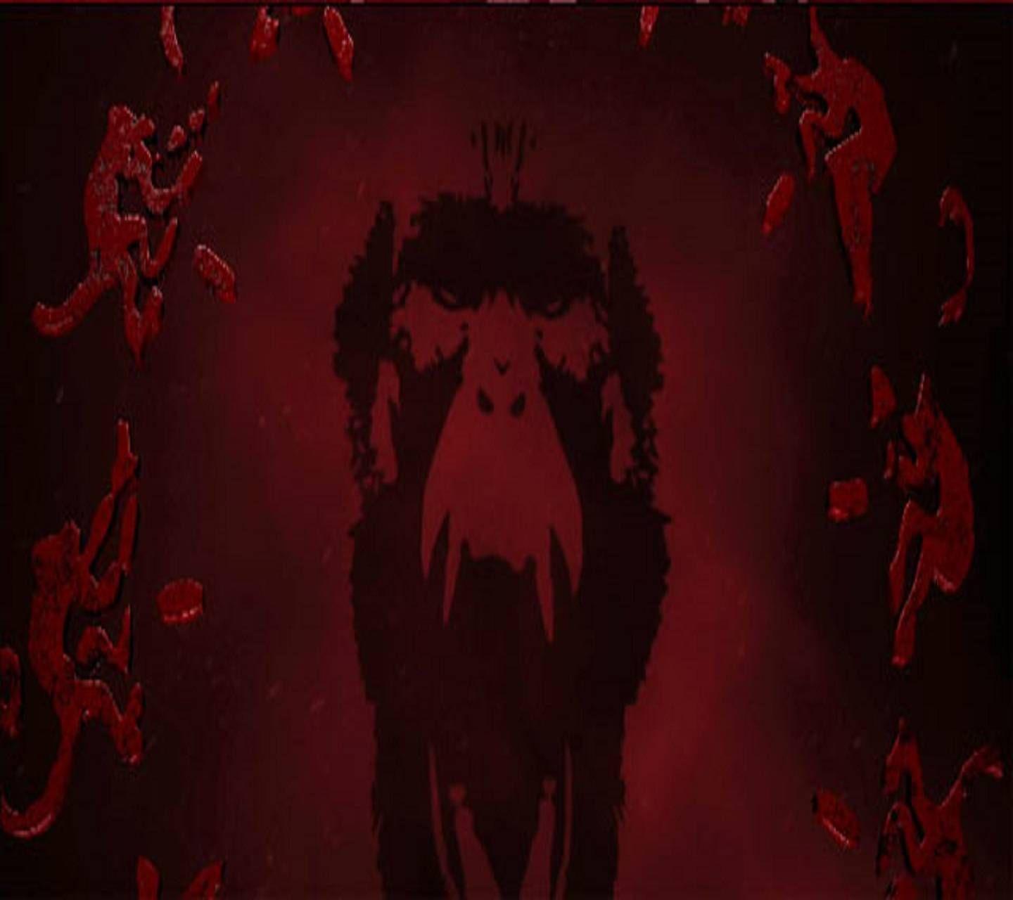 1440x1280 monkeys wallpaper
