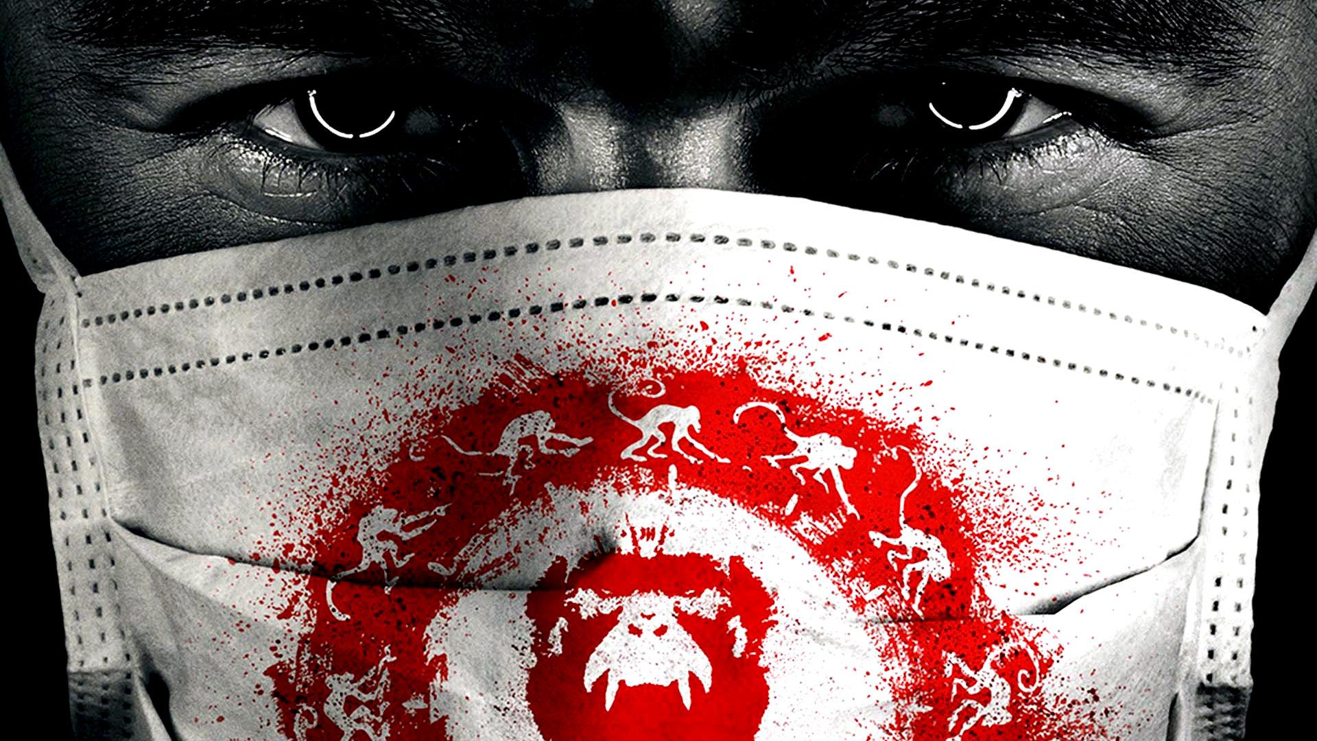 1920x1080 Monkeys wallpaper HD for desktop background