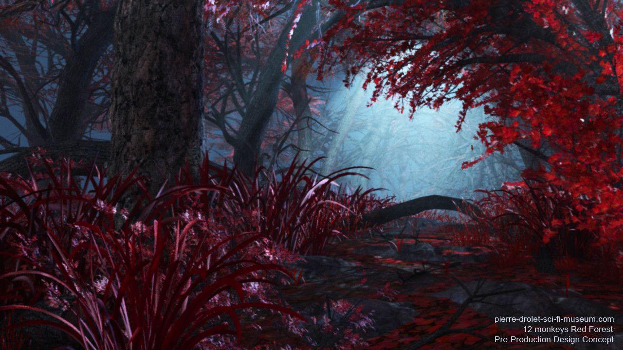 1280x720 Pond