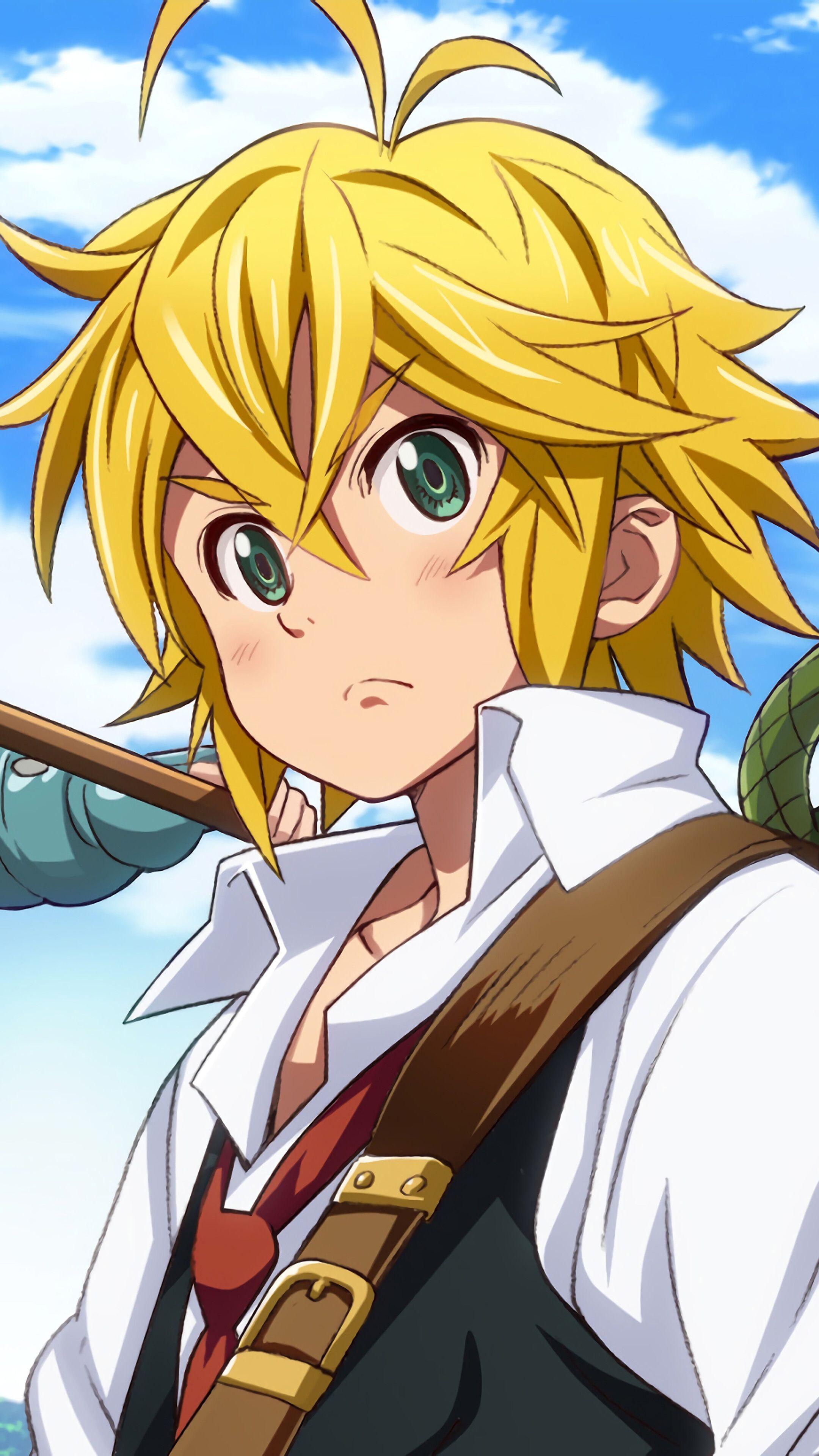 2160x3840 Diane, Meliodas, Bảy đại tội, Điện thoại 4K Hình nền HD, Hình ảnh, Bối cảnh, Hình ảnh và Hình ảnh https://wallpaperaccess.com/full/2760020.jpg