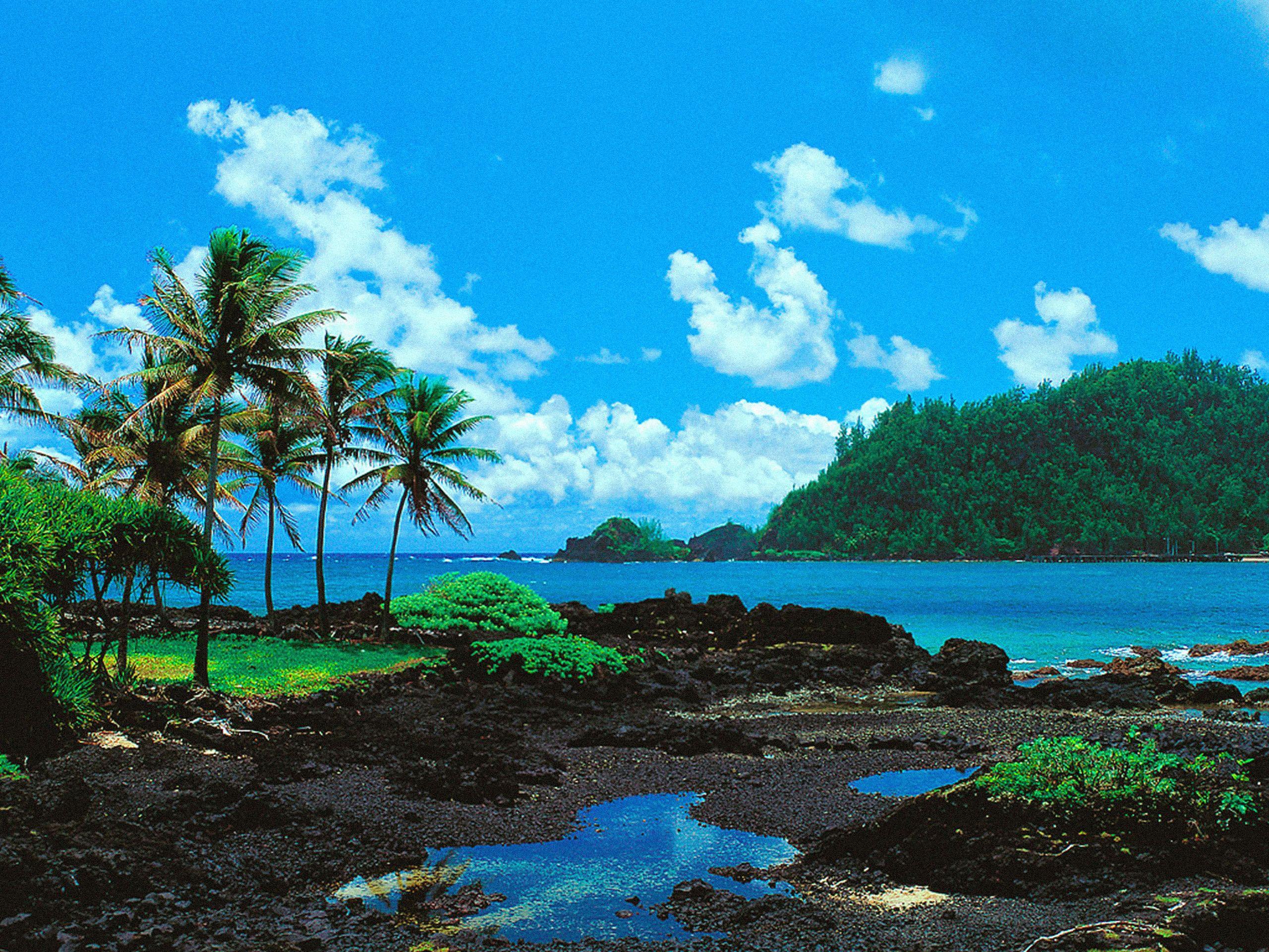 Maui Use Image As Background Maui Coastline Shores Hawai