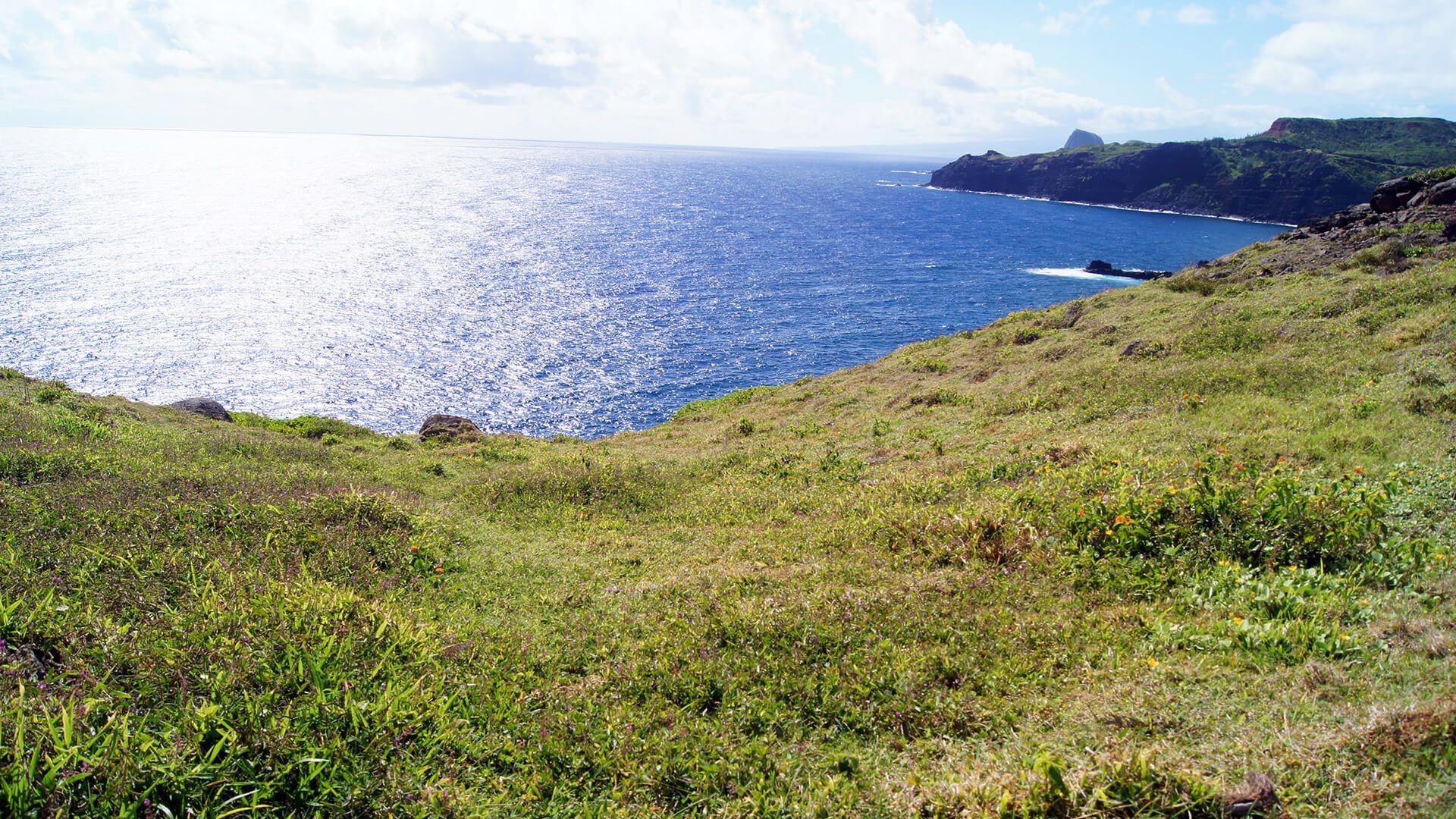 1920x1080 Maui Hawaii Ocean Wallpaper 61836 1920x1080 px