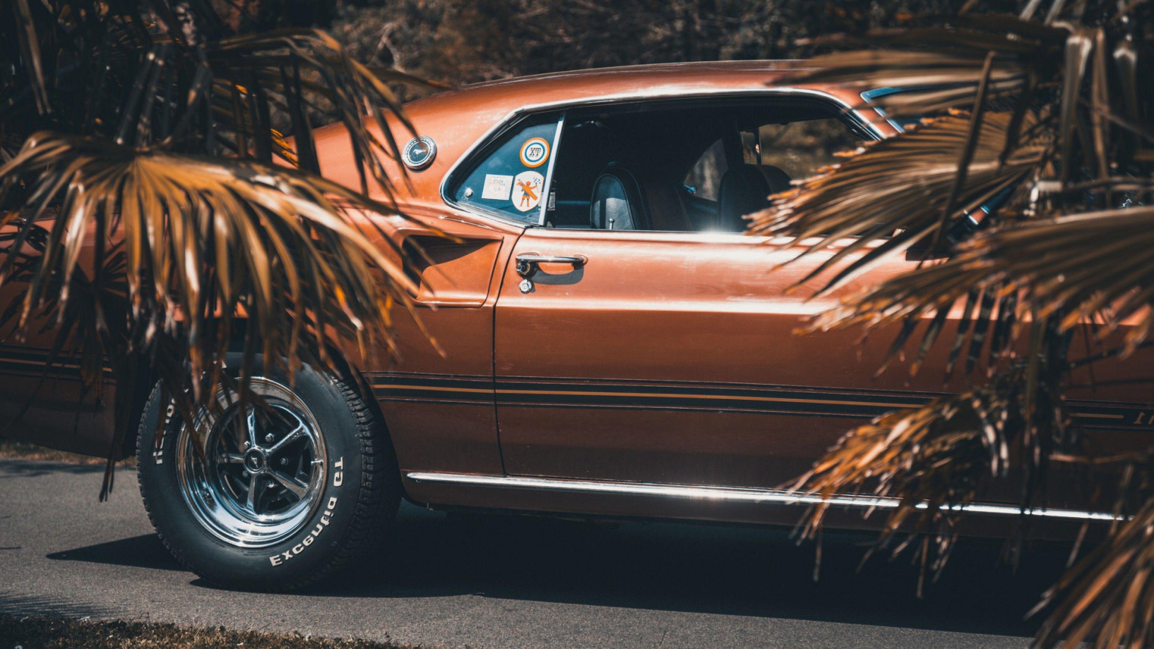 3840x2160 Ford Mustang HD Cars, 4k Wallpaper, Image, Background