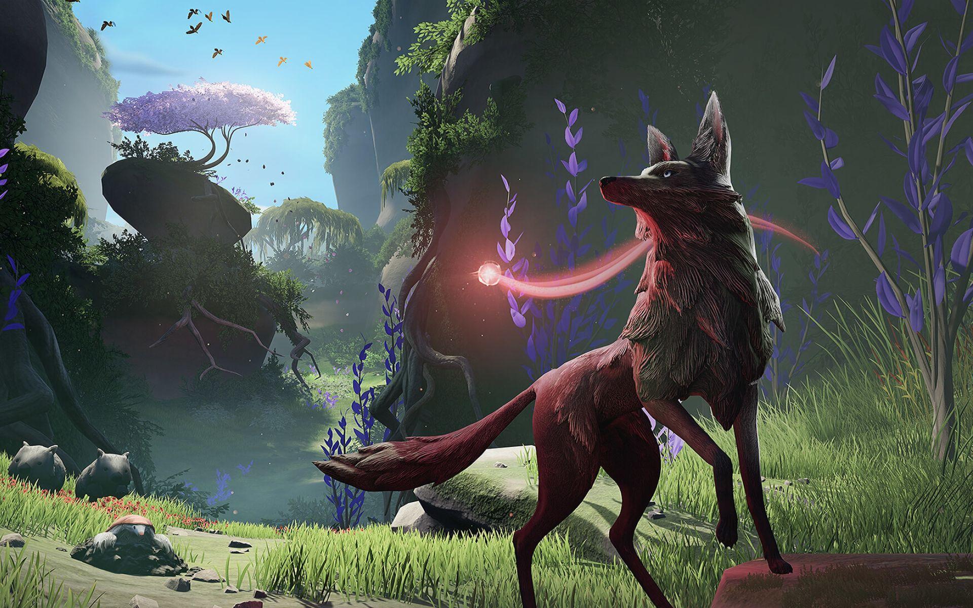 8K Ultra HD Wolf Wallpapers - Top Free 8K Ultra HD Wolf Backgrounds ...