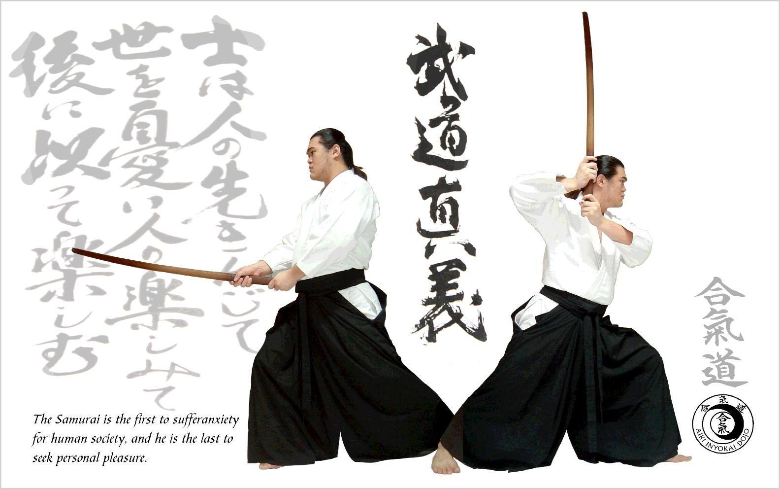1584x992 Budo Aikido Image Gallery