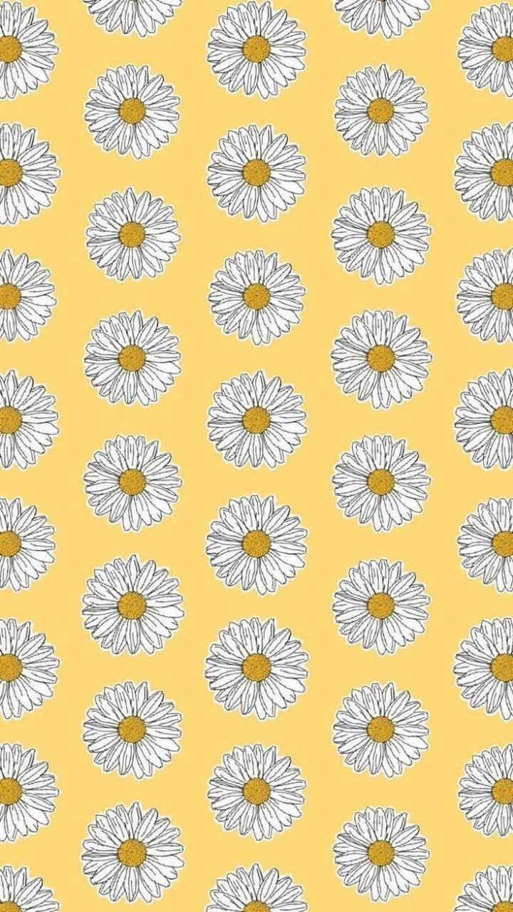 Sunflower Pattern Wallpapers Top Free Sunflower Pattern Backgrounds