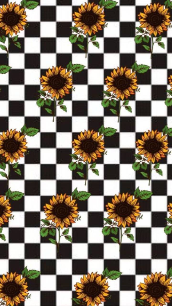 720x1280 Aesthetic sunflower wallpaper