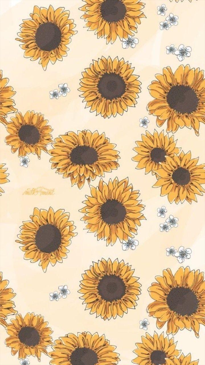 720x1280 Aesthetic Sunflower Wallpaper
