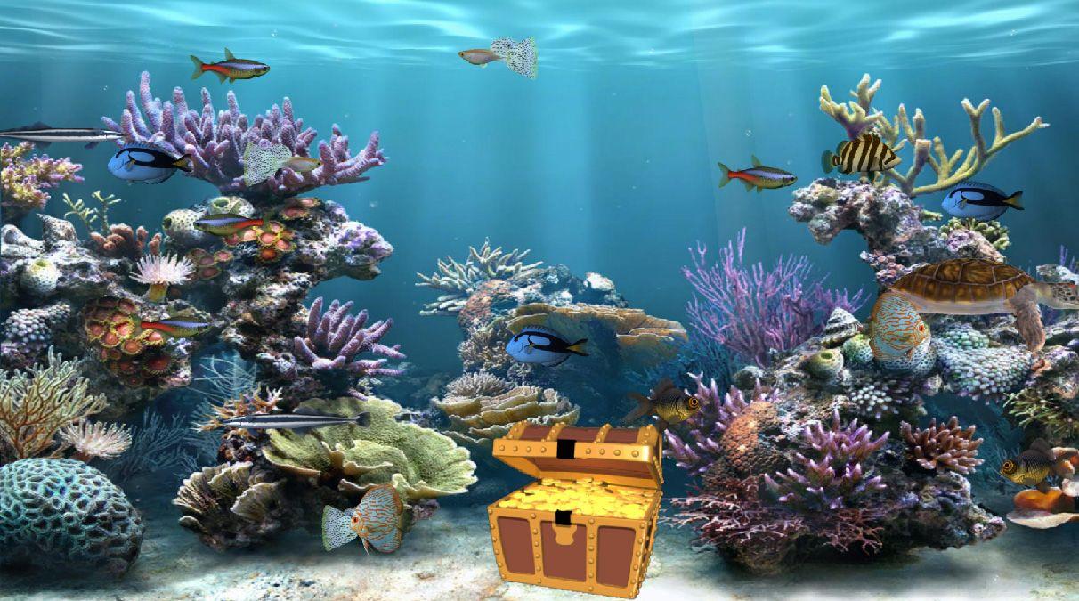 1212x675 Clear Aquarium Animated Wallpaper