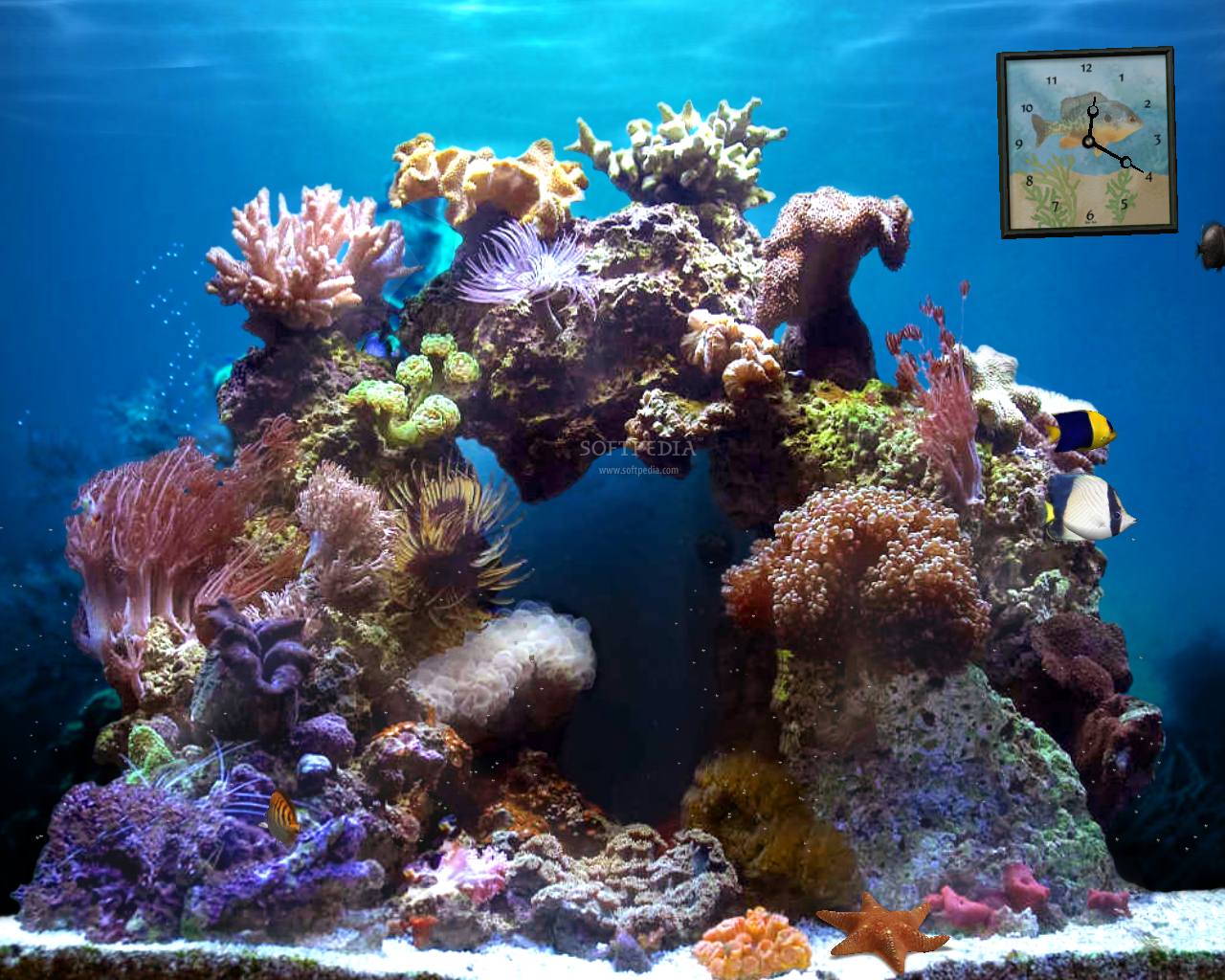 1280x1024 Hd Fish Tank Screensaver Mac Download Free 3D Wallpaper