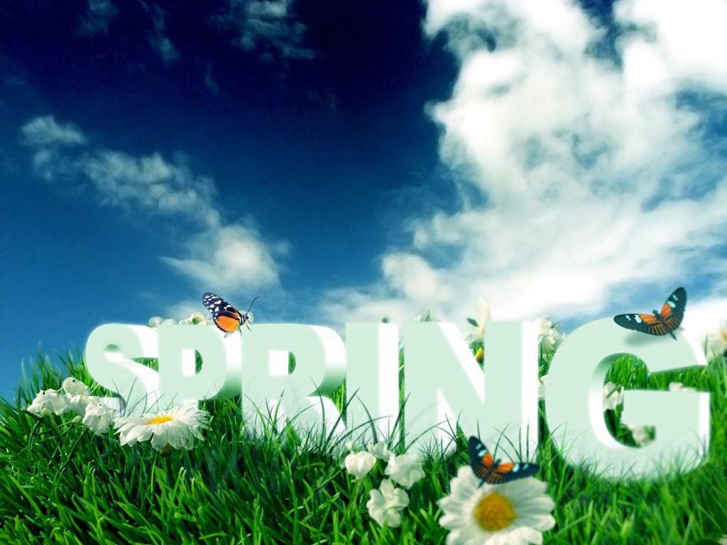 1024x768 Free download Spring Flowers Desktop Background HD Wallpaper