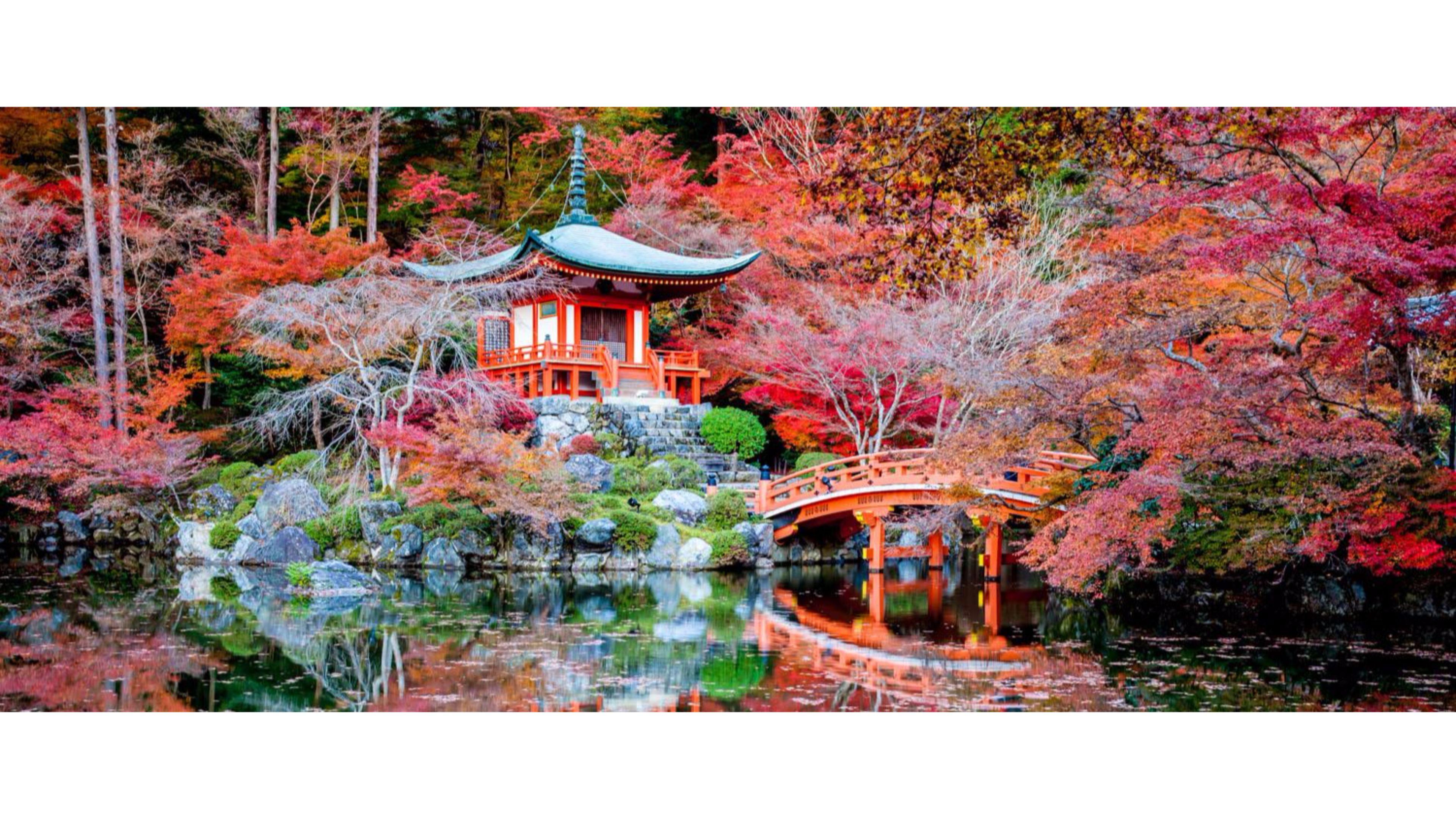  4K  Kyoto Wallpapers  Top Free 4K  Kyoto Backgrounds  