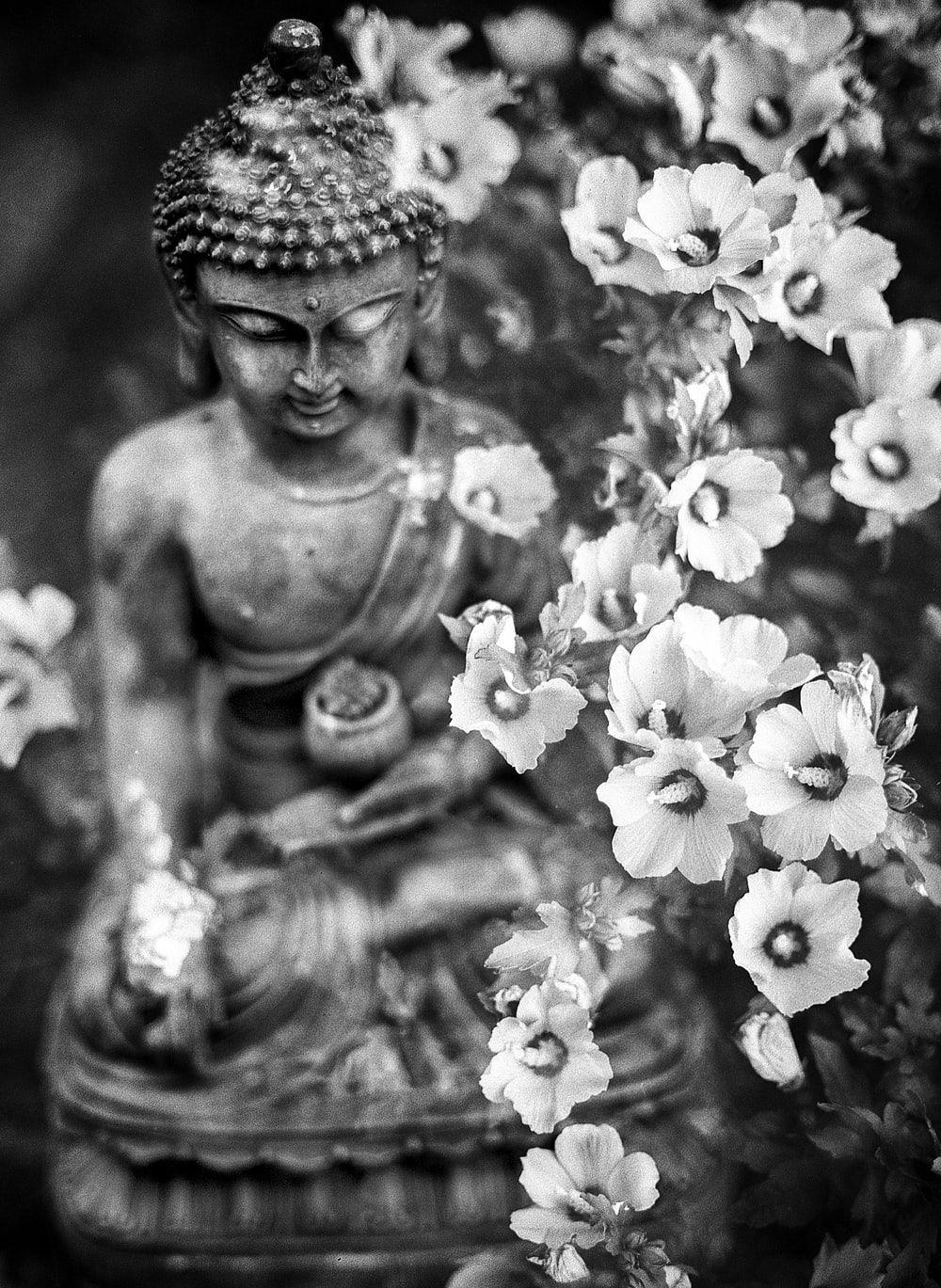  Black  and White  Buddha  Wallpapers Top Free Black  and 