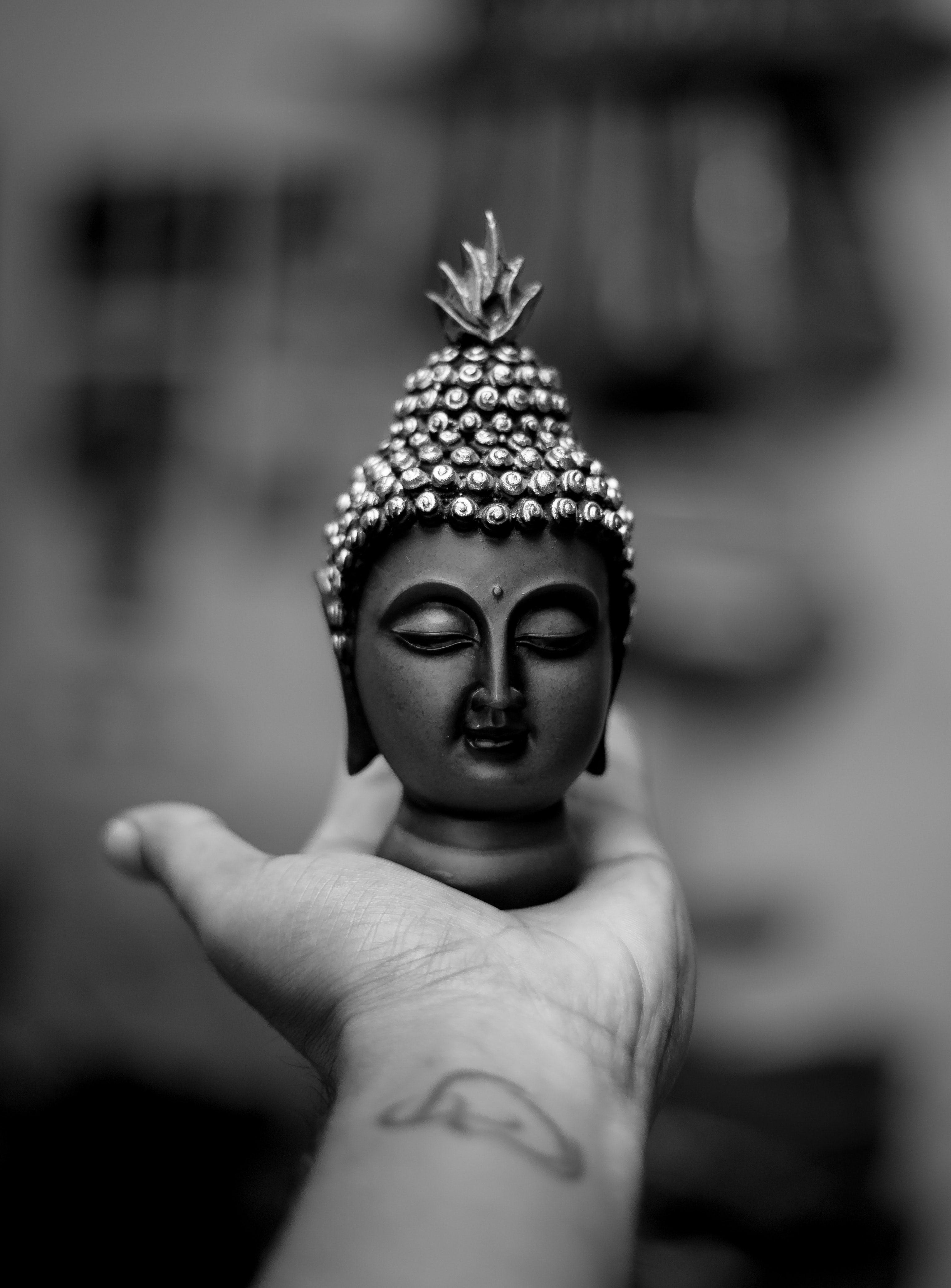 3076x4165 Free of 50mm, black and white, buddha