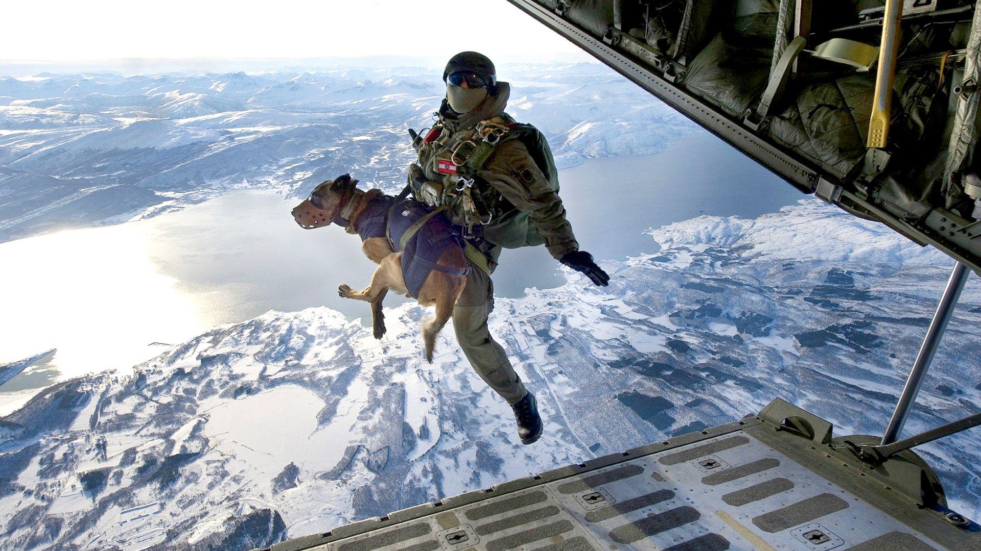 1920x1080 Seal Team 6 Belgian Malinois
