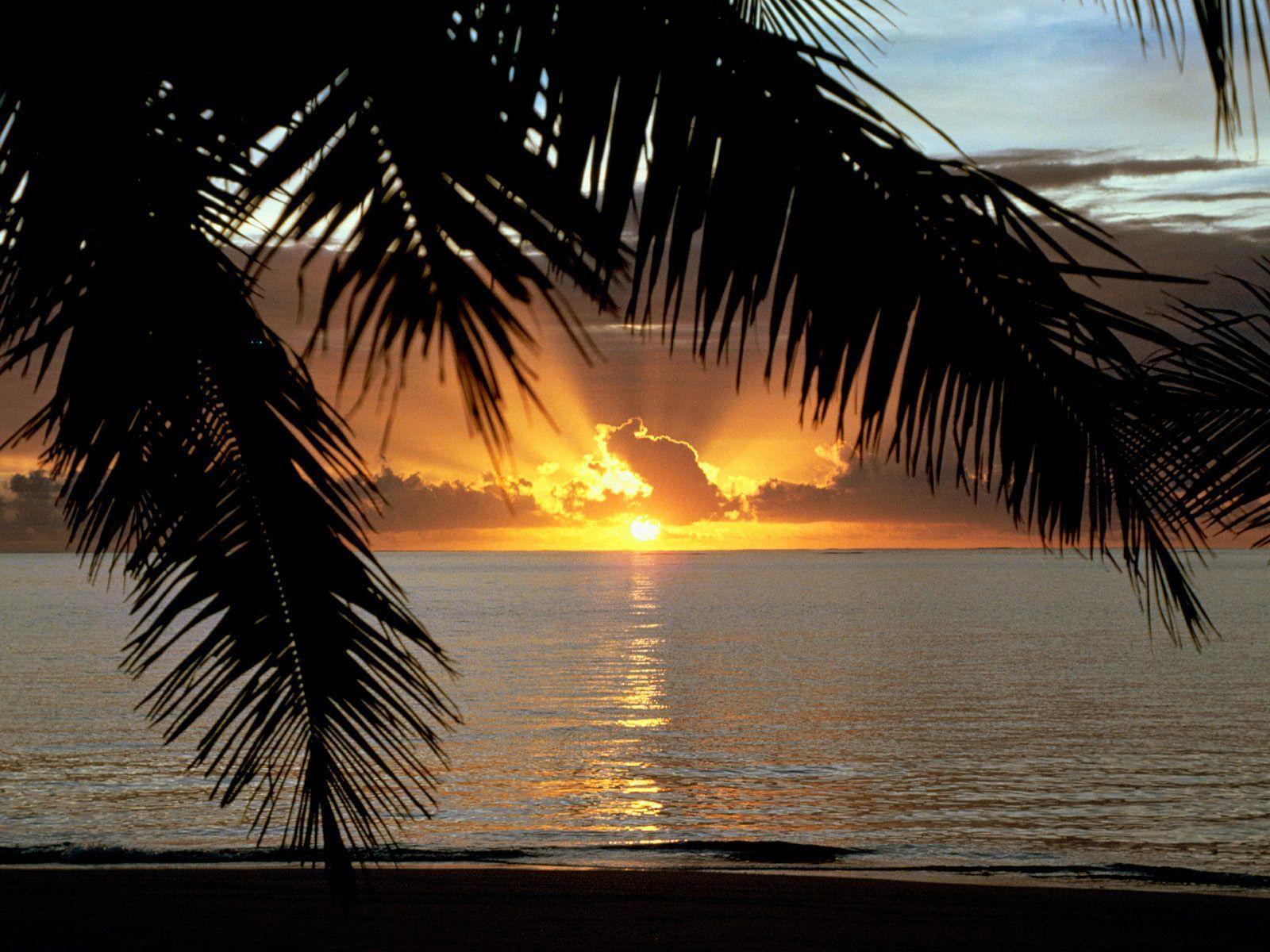 1600x1200 Free download miami south beach wallpaper which is under the beach