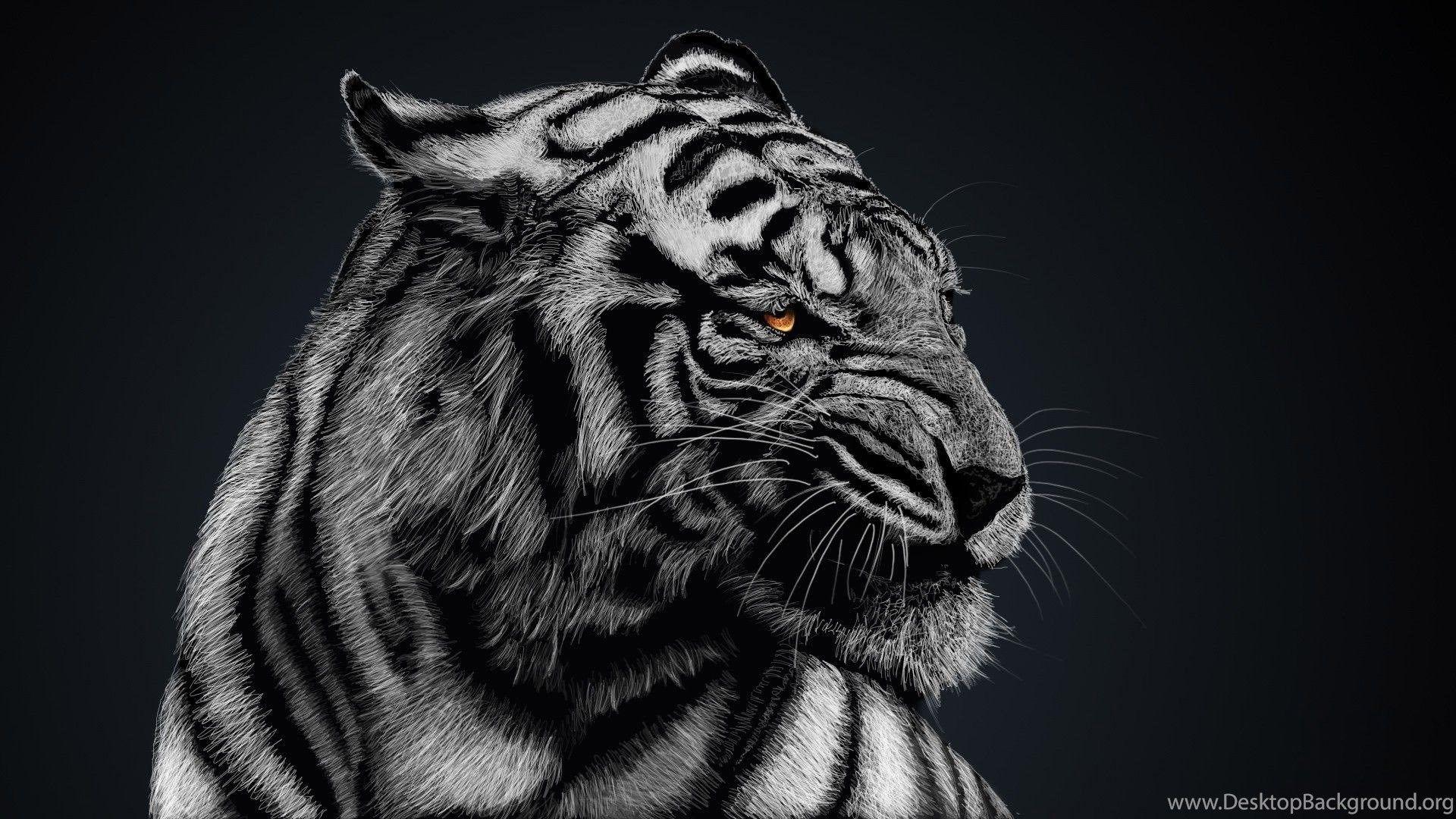 1920x1080 Black And White Tiger Wallpaper High Quality : Animal Wallpaper