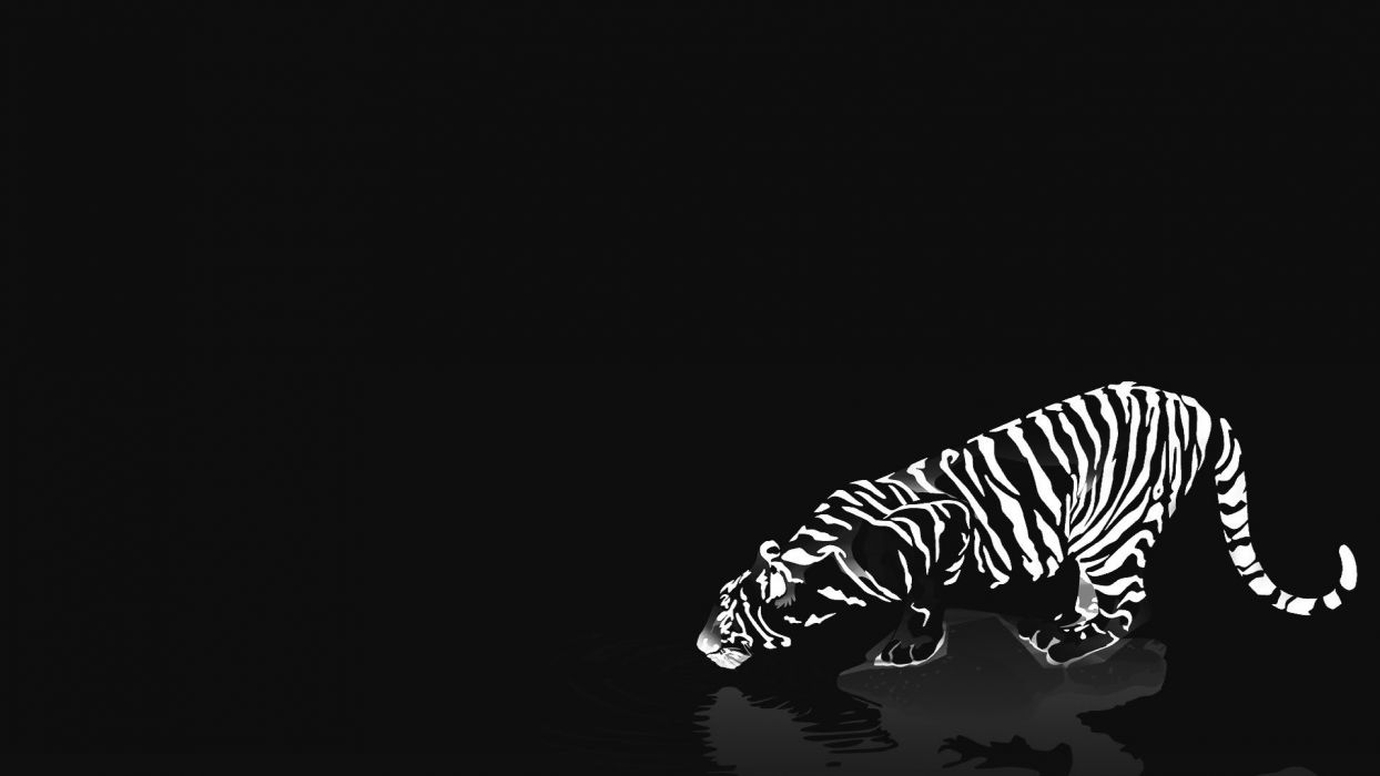 1244x700 Cats animals tigers white tiger reflections black background