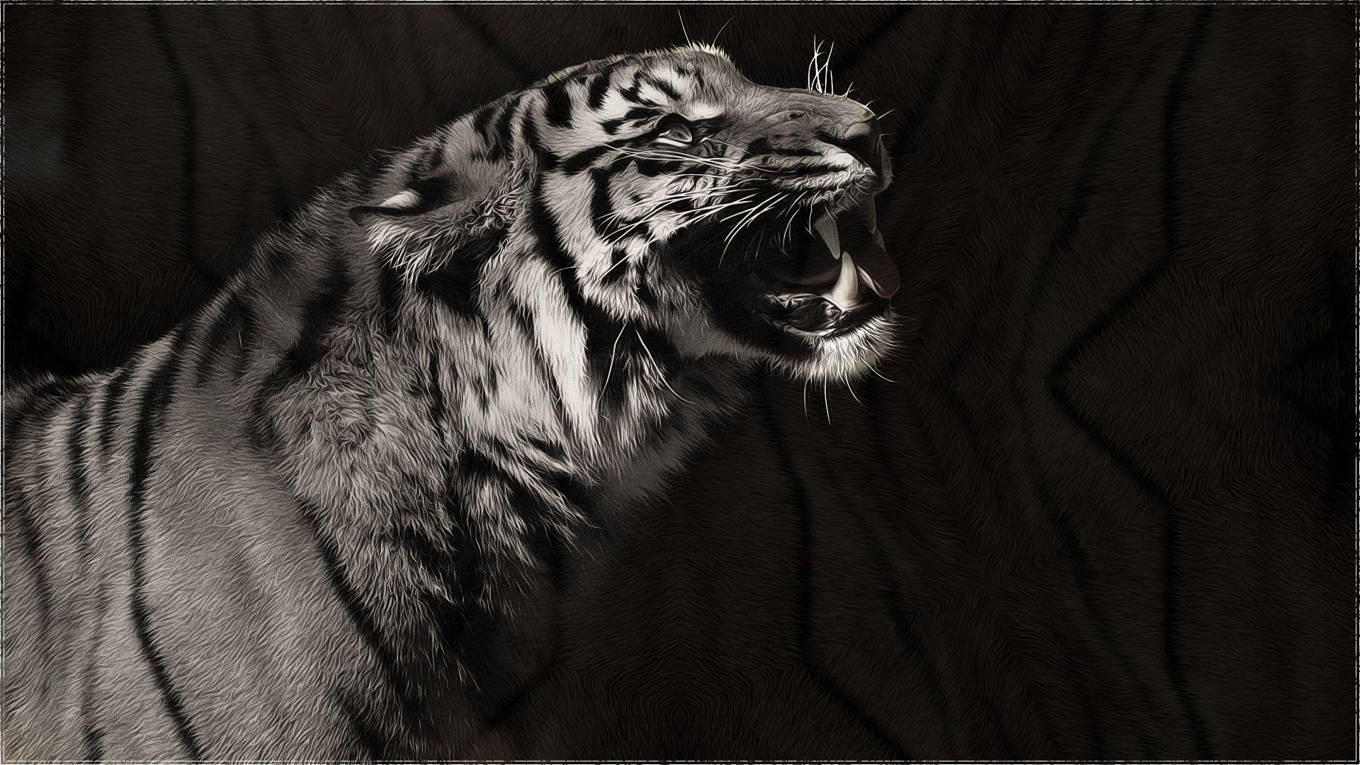 1920x1080 Black and White Animal Wallpaper