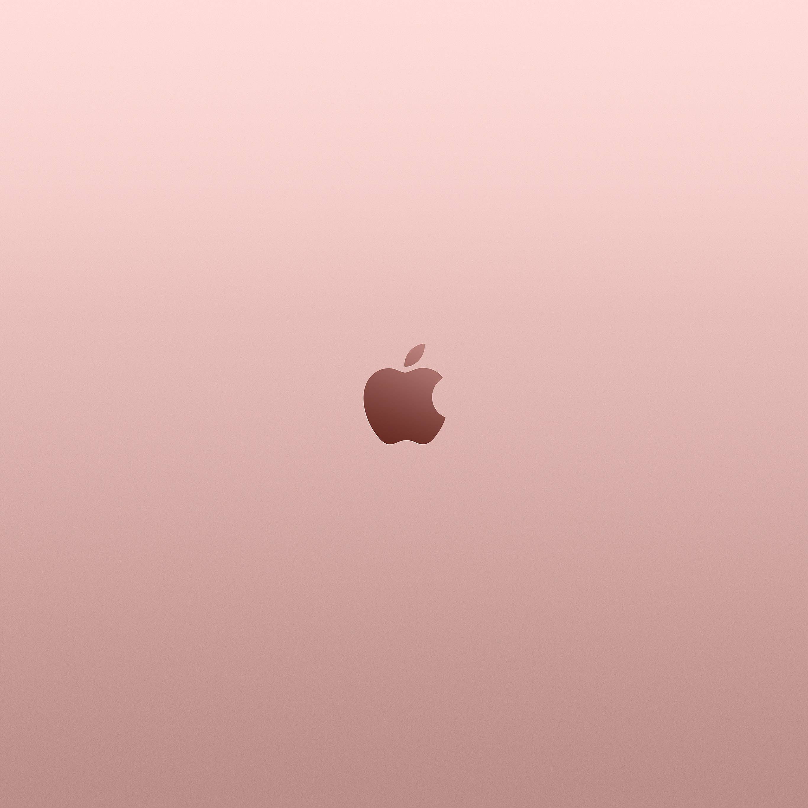 Rose Gold iPad Wallpapers - Top Free Rose Gold iPad Backgrounds