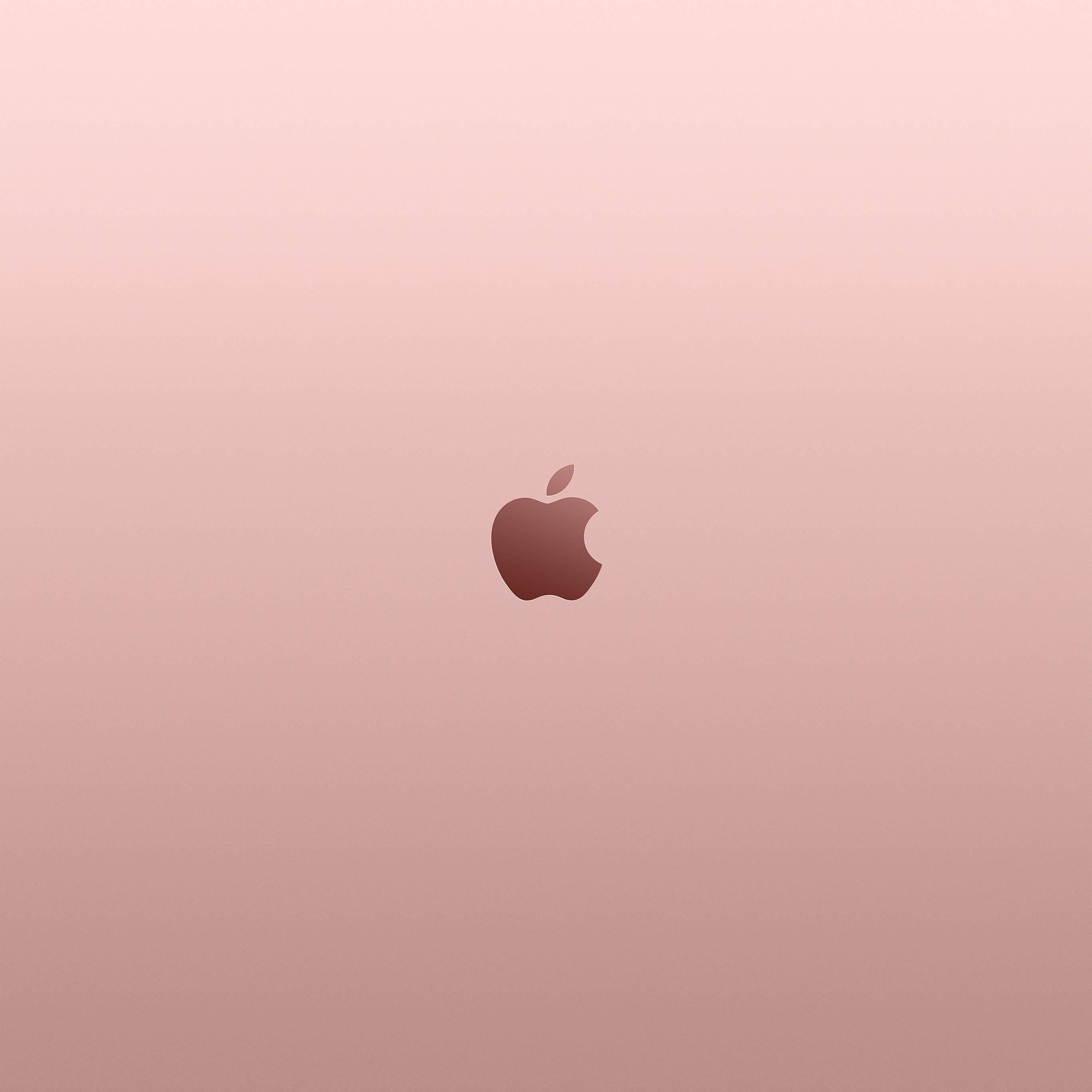 Rose Gold Ipad Wallpapers Top Free Rose Gold Ipad Backgrounds Wallpaperaccess - ipad rose gold roblox background