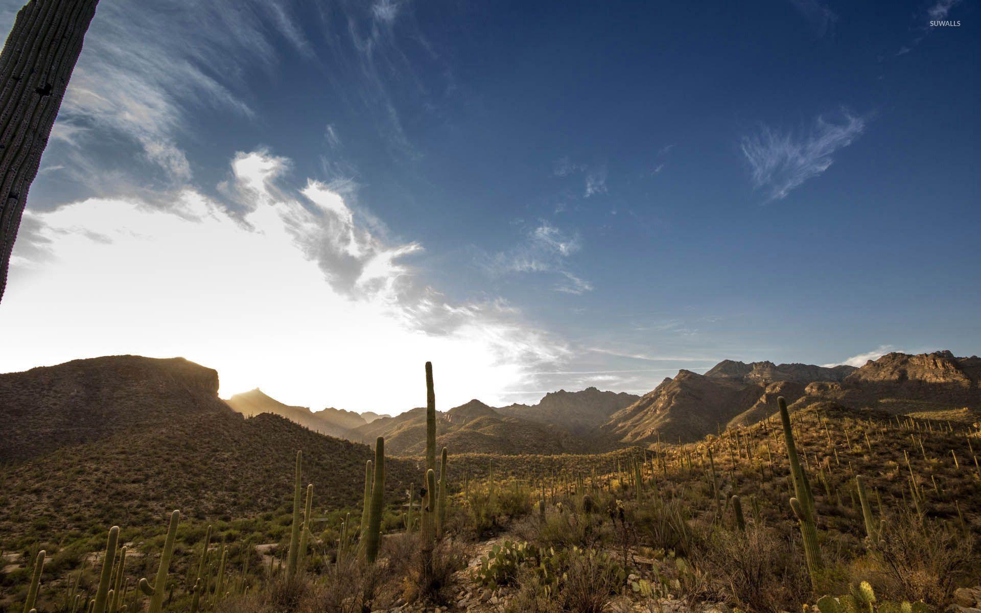 1920x1200 Sabino Canyon, Arizona wallpaper wallpaper