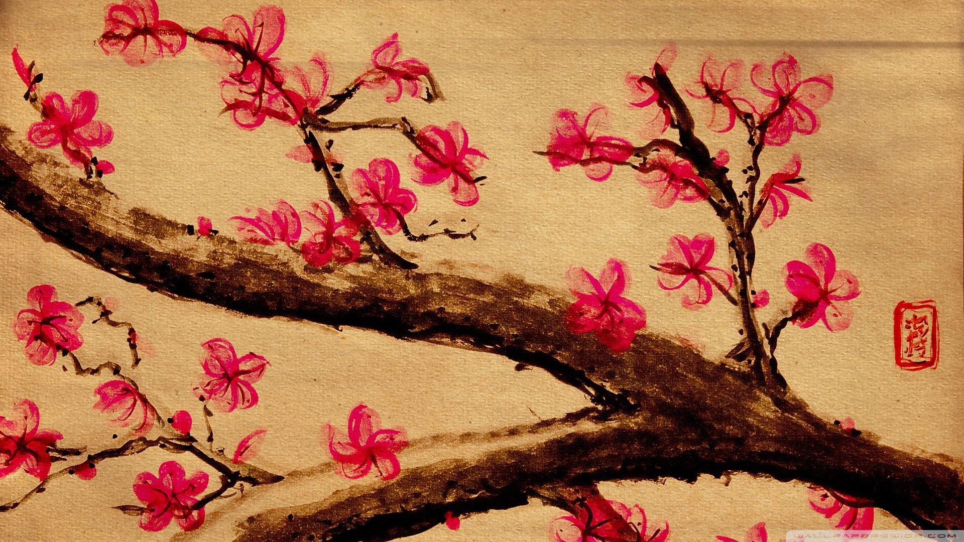 1920x1080 Desktop cherry blossom picture free download
