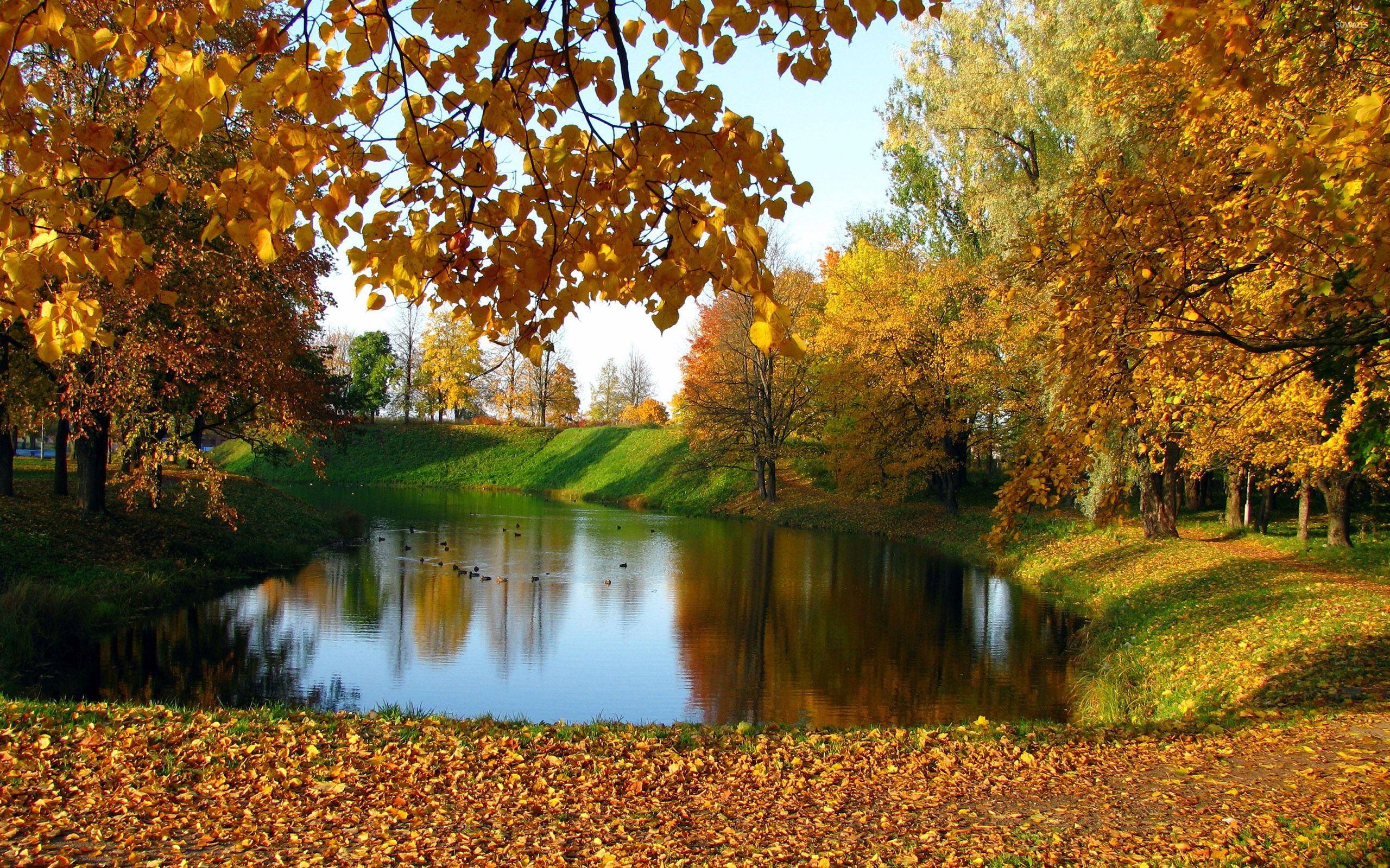 2560x1600 Lake in the autumn garden wallpaper wallpaper