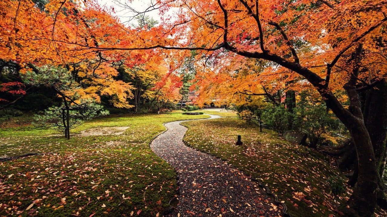 1280x720 Wallpaper Autumn, Leaves, Yoshikien Garden, Japan, 5K, Nature