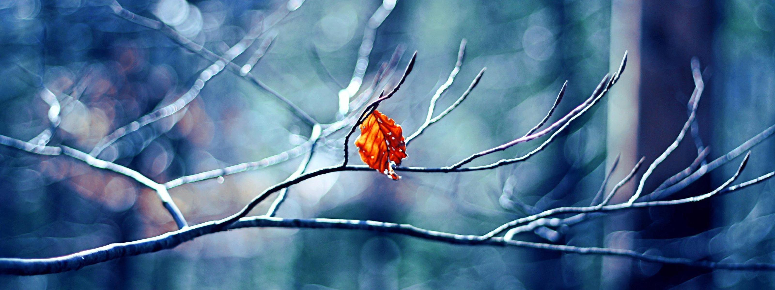 3200x1200 Wallpaper 3200X1200 HD