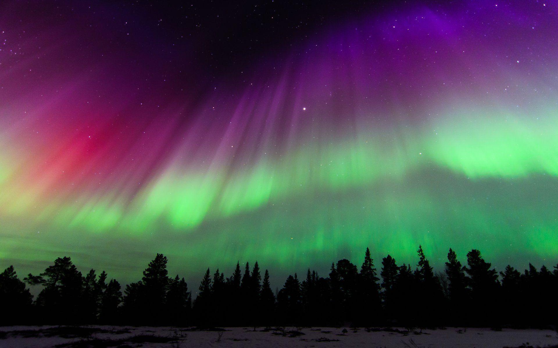 1920x1200 Norway's Starlit Aurora Ultra HD Wallpaperx3025