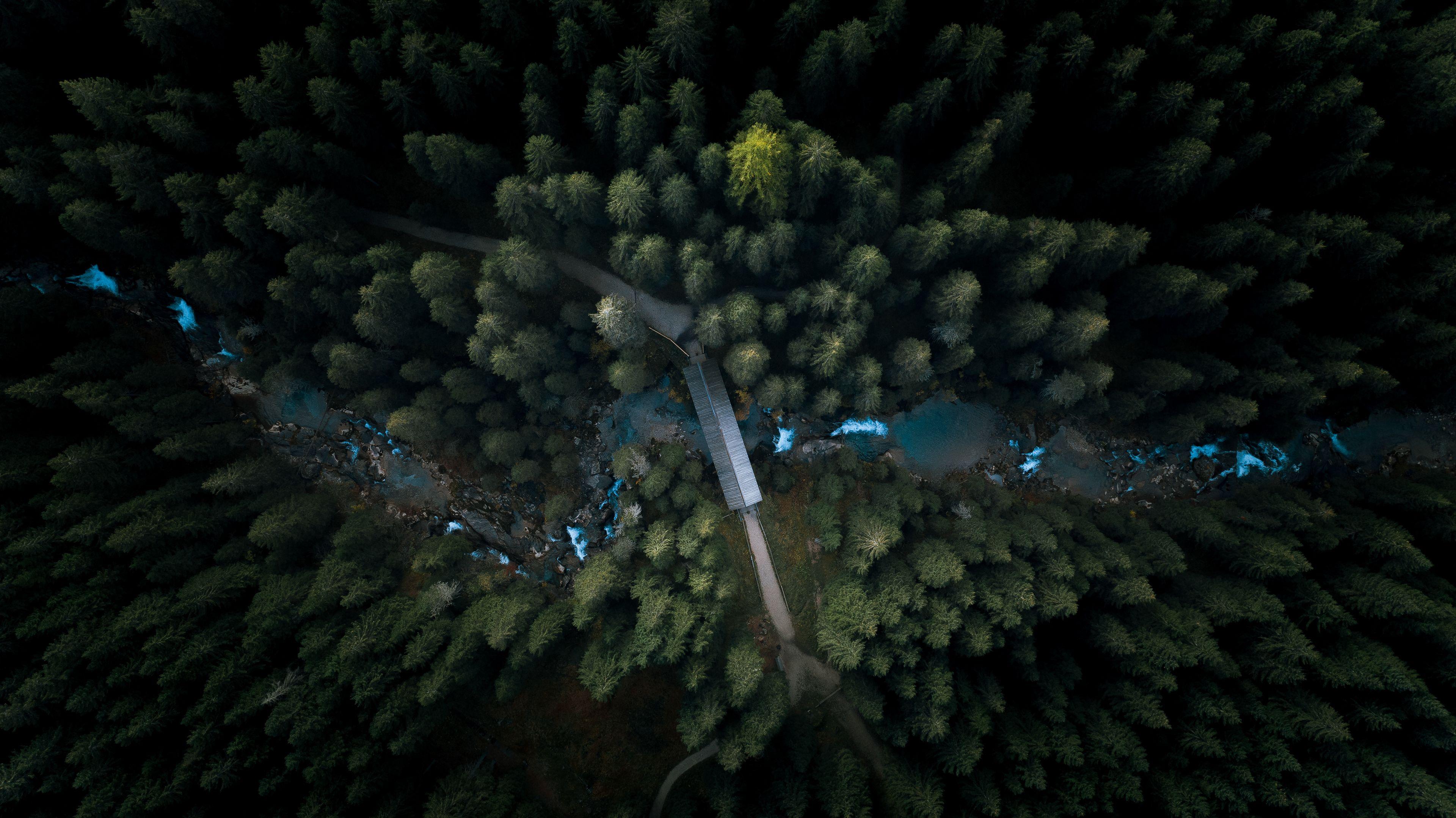 3840x2158 Aerial View Forest 4k, HD Nature, 4k Wallpaper, Image, Background, Photo and Picture