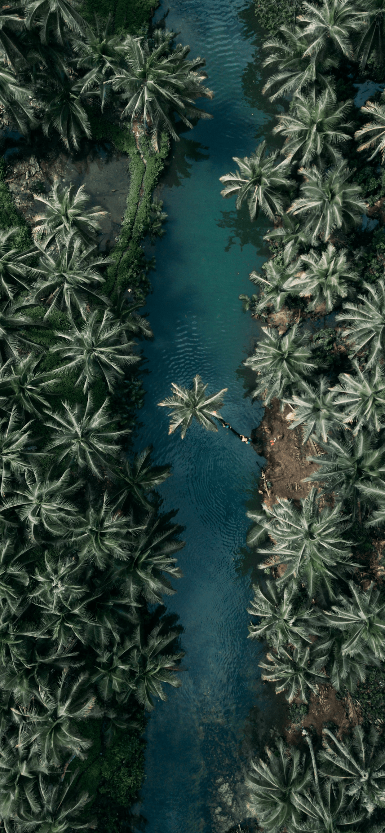 1242x2688 Aerial Image Wallpaper for iPhone Pro Max, X, 6