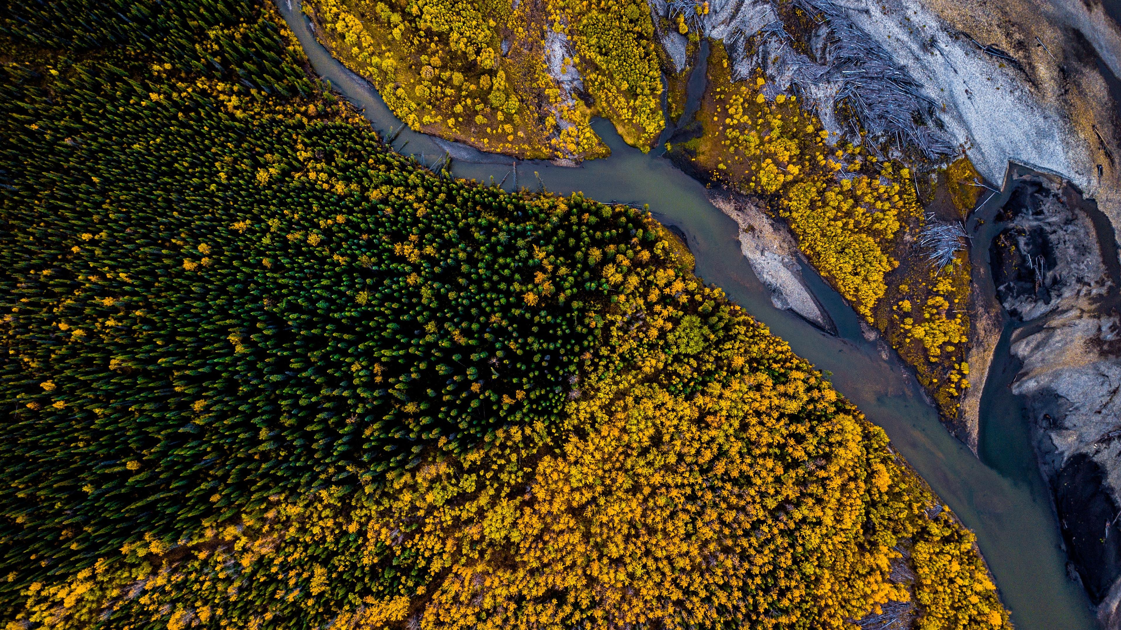 3840x2160 Wallpaper 4k Aerial Photography Beauty In Nature Forest 4k 4k