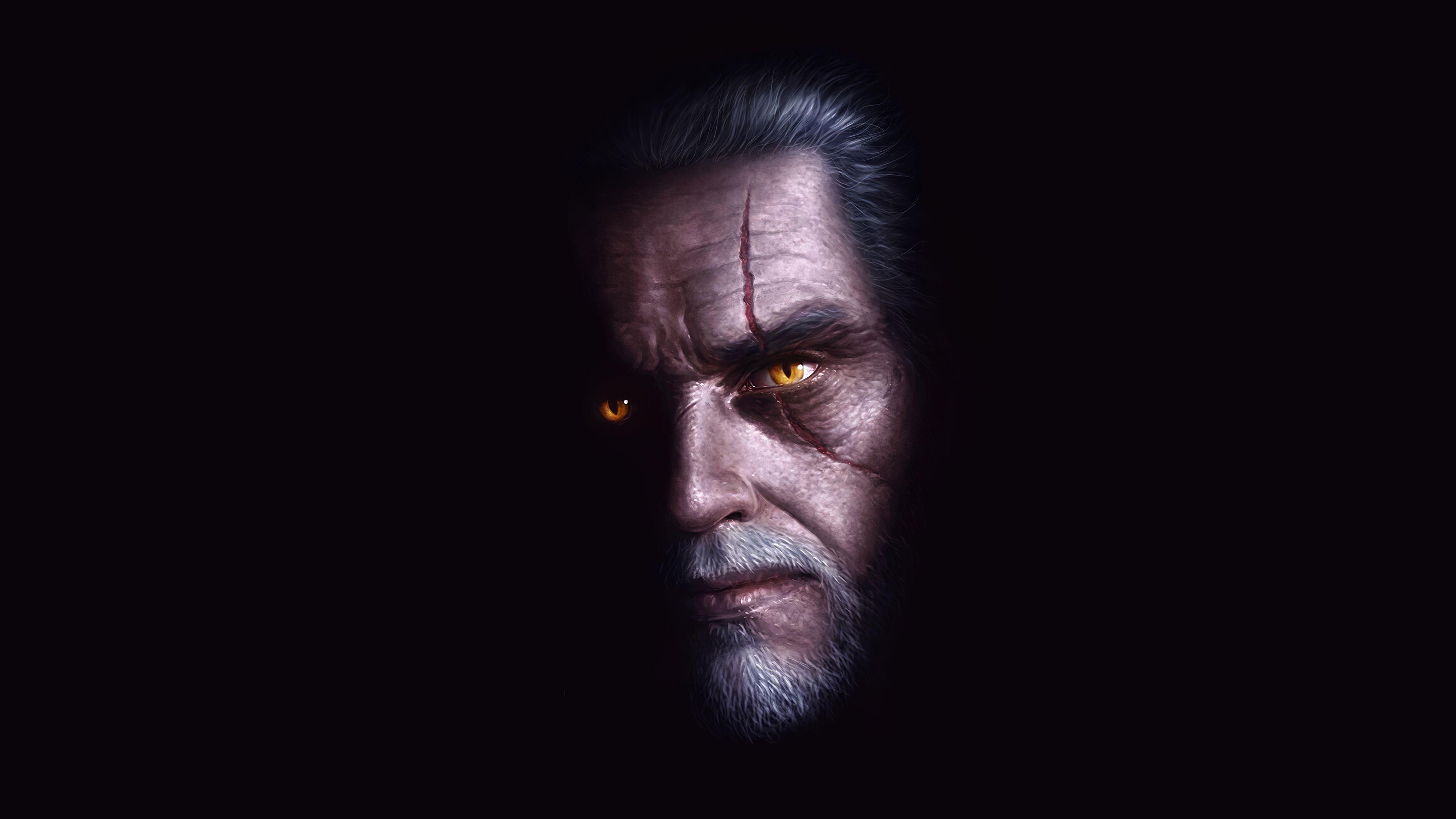 3840x2160 The Witcher Tv Series Art 4k, HD Tv Shows, 4k Wallpaper, Image