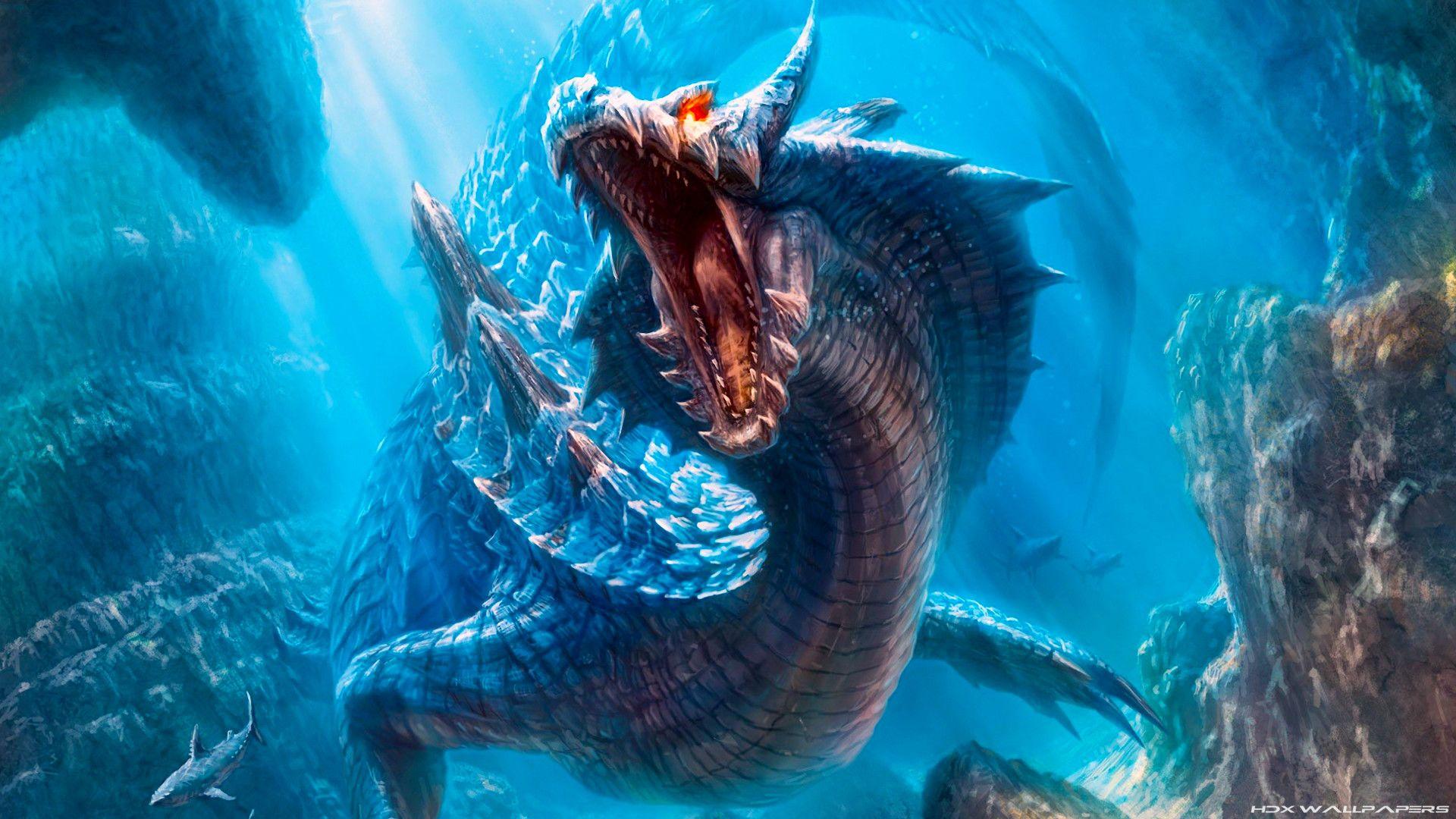 1920x1080 Sea Creatures Wallpaper