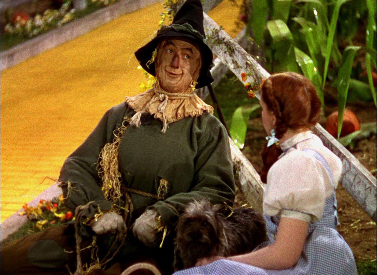 1480x1080 Free download wizard of oz computer wallpaper weddingdressincom