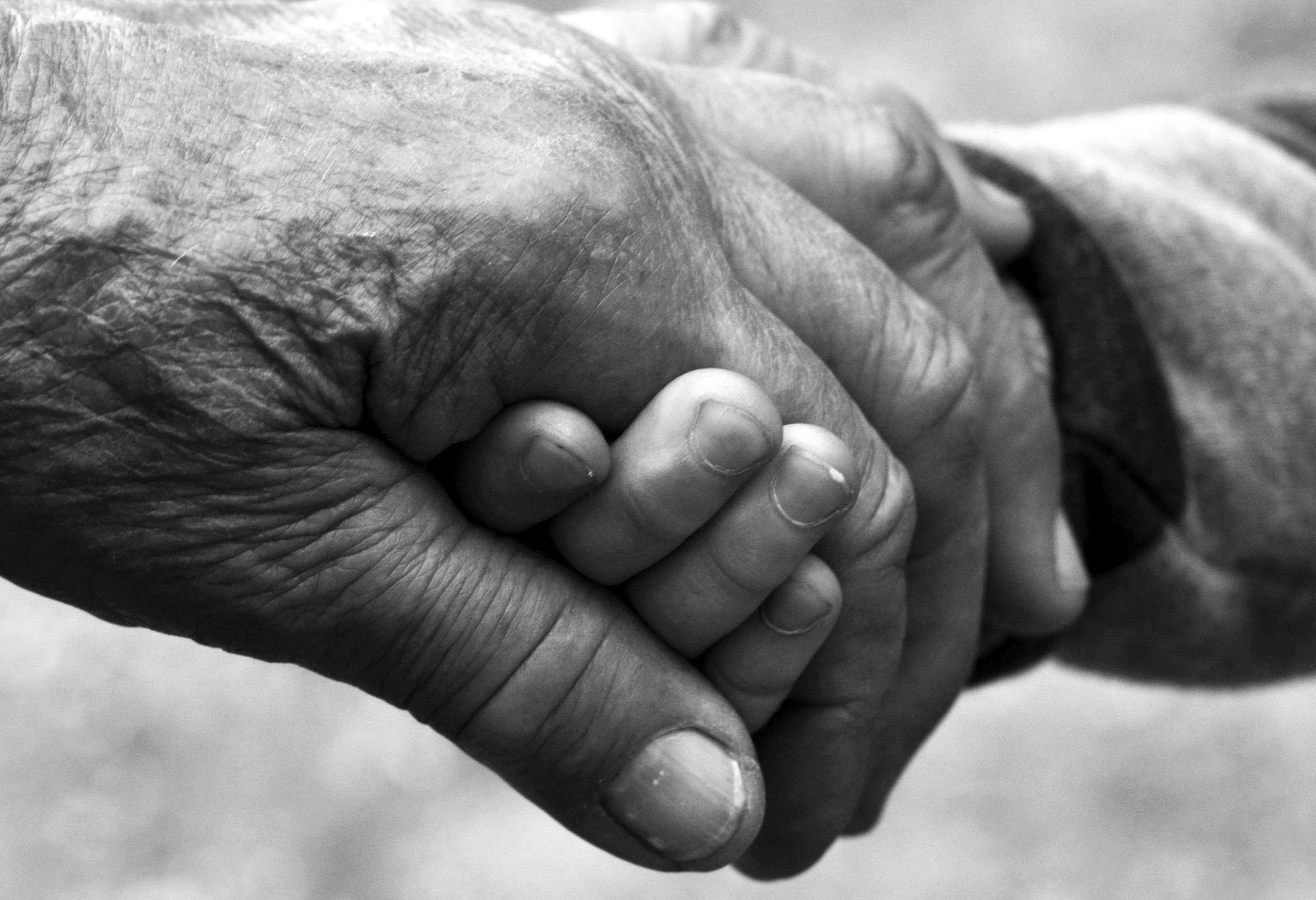 2716x1856 gray scale photo of handshake free image